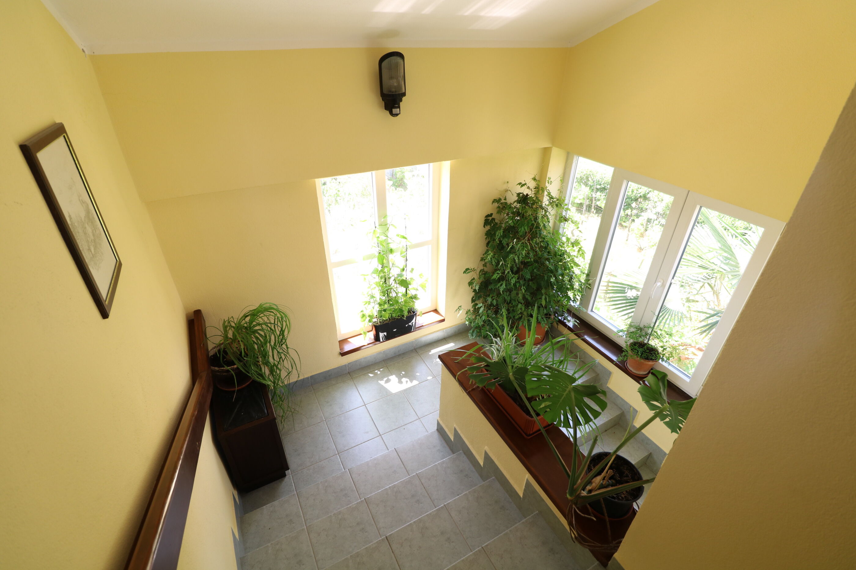 Apartments and Room Jagoda 79538-A4