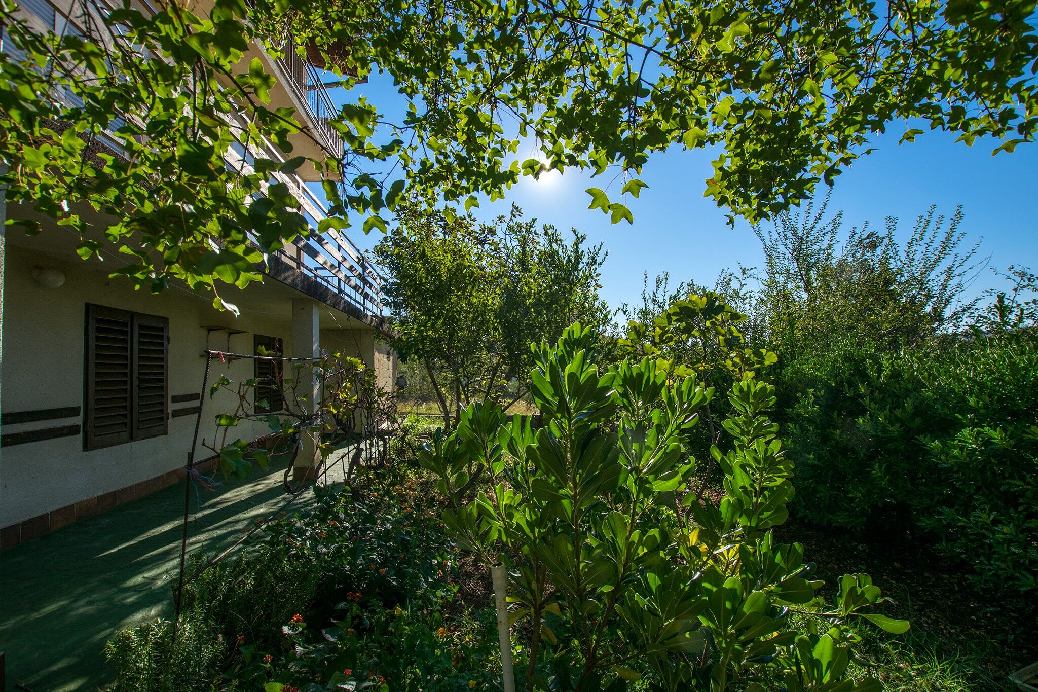 Apartments VELEBIT 81614-A2