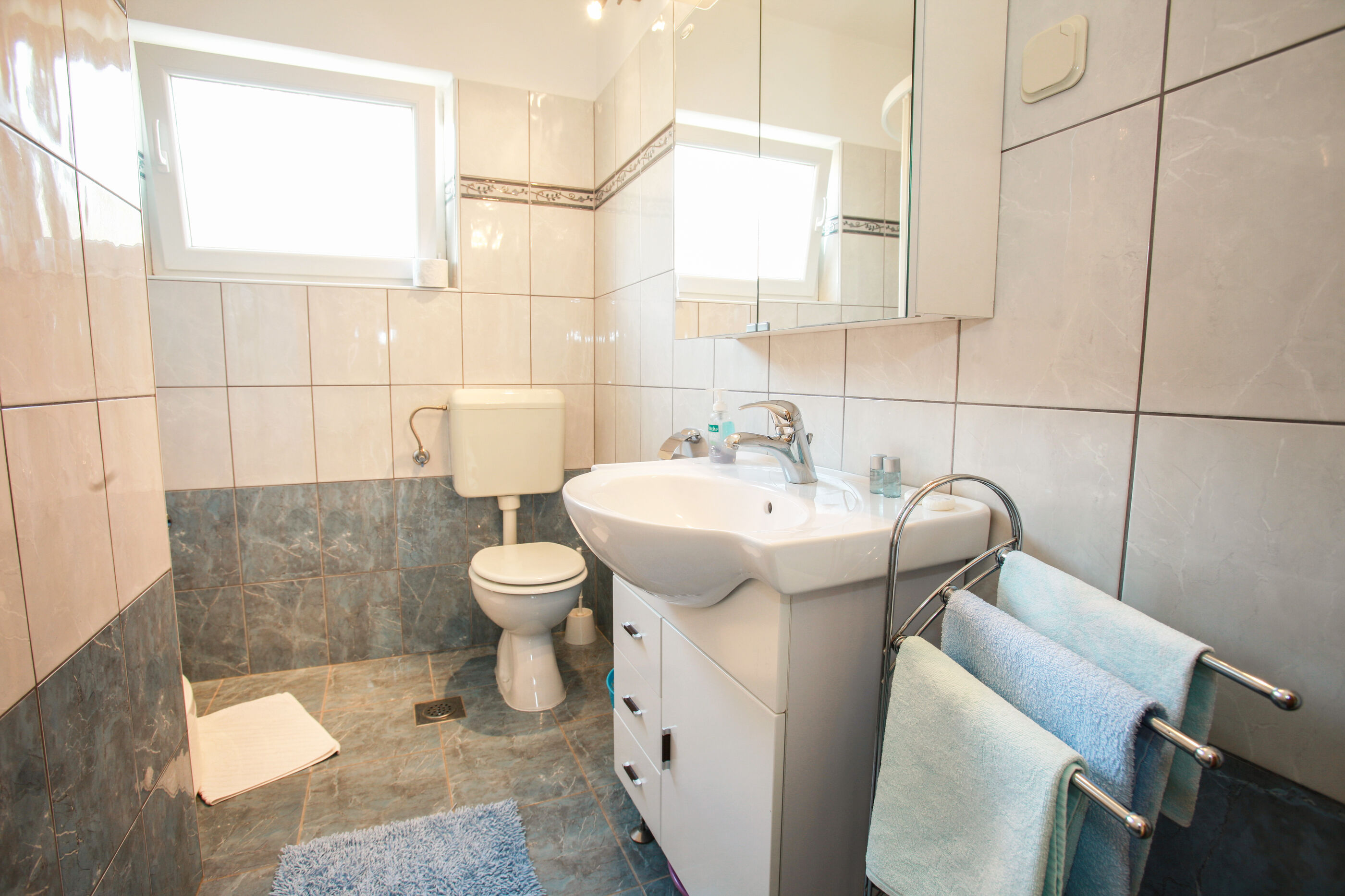 Apartment and Rooms Albina 48321-S4