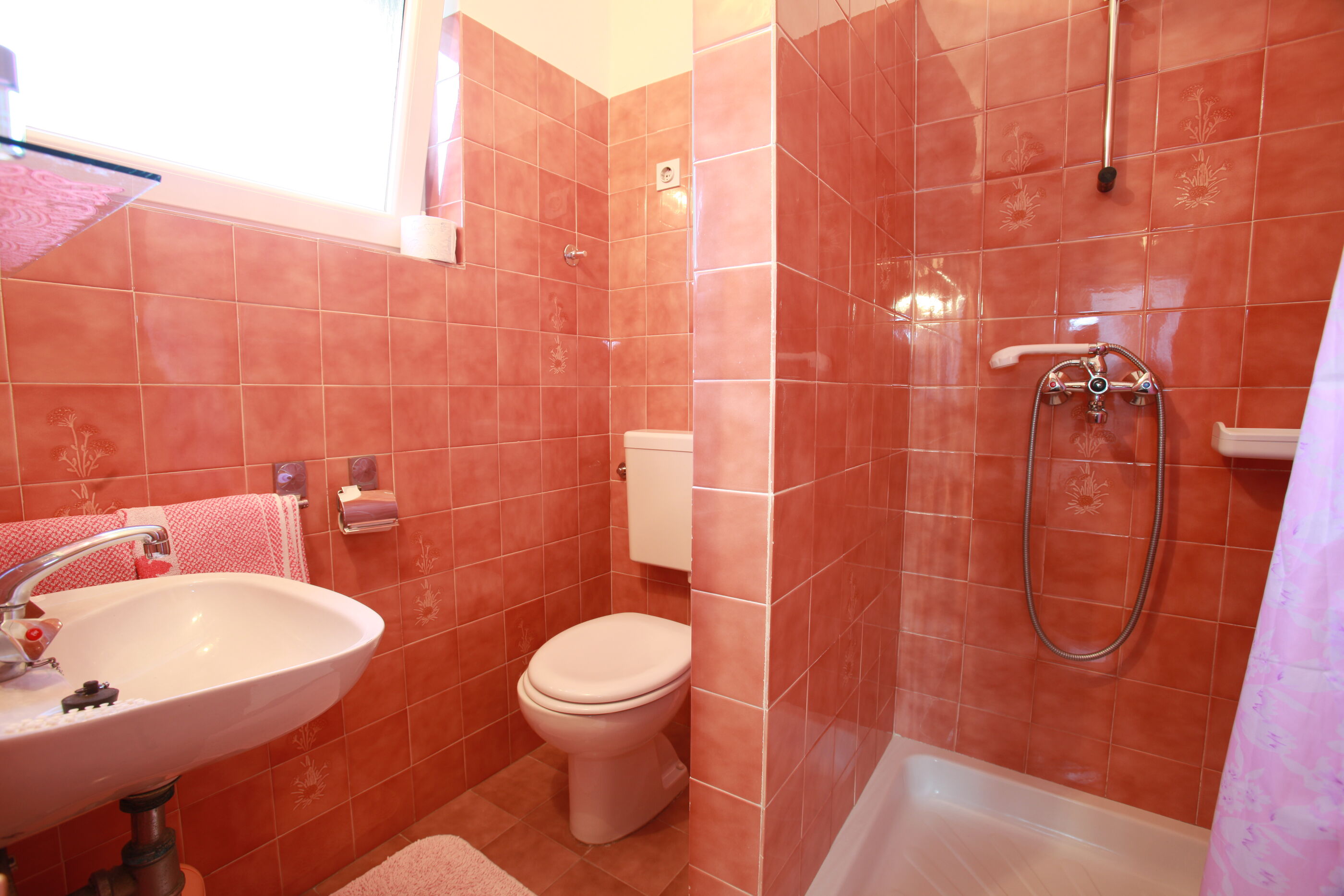Apartment and Rooms Albina 48321-S2