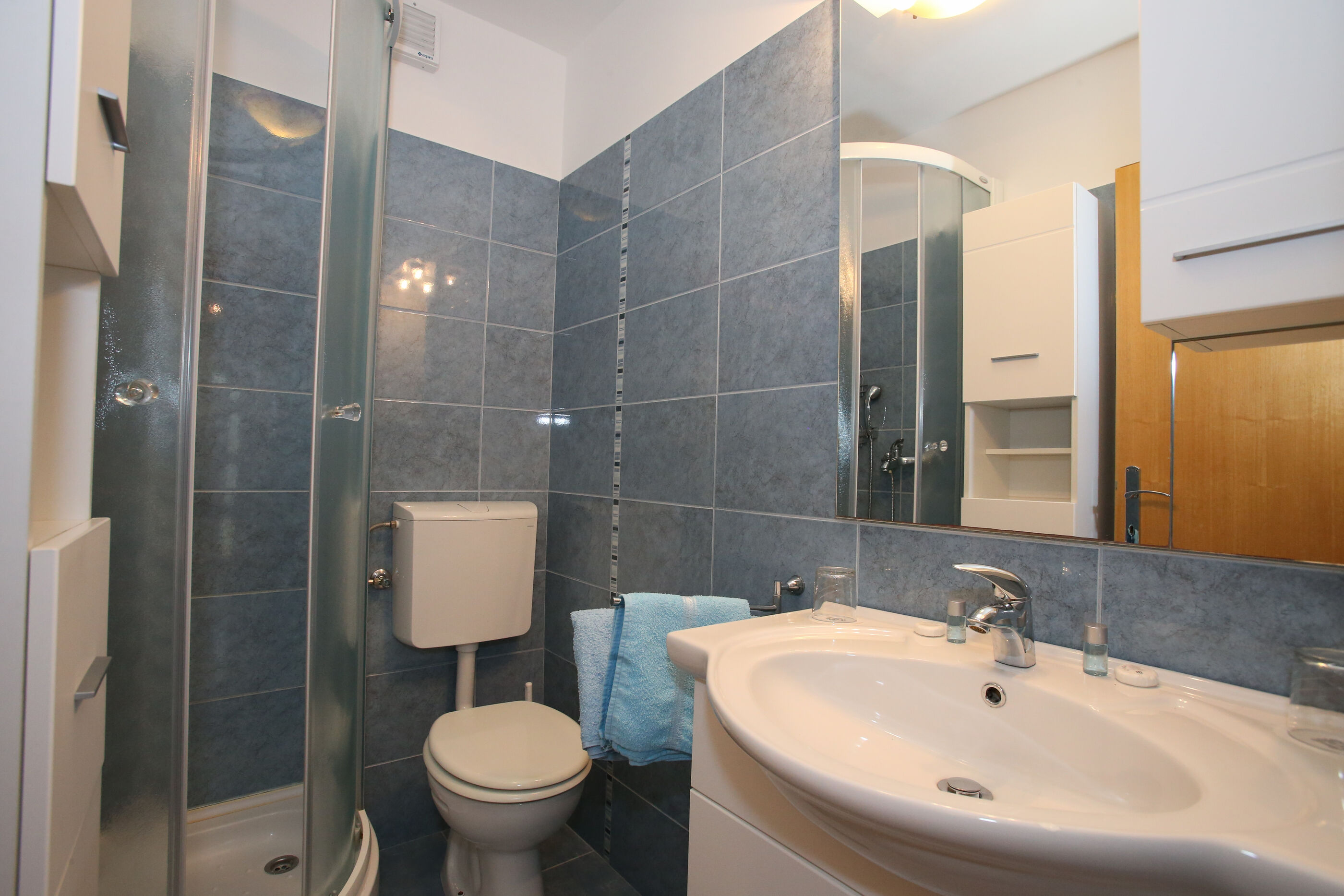 Apartment and Rooms Albina 48321-A1