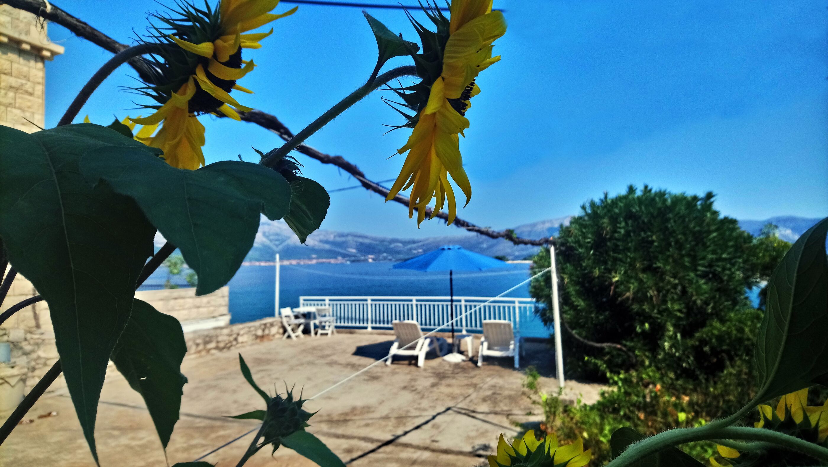 Photo of Apartment and Room Silvana