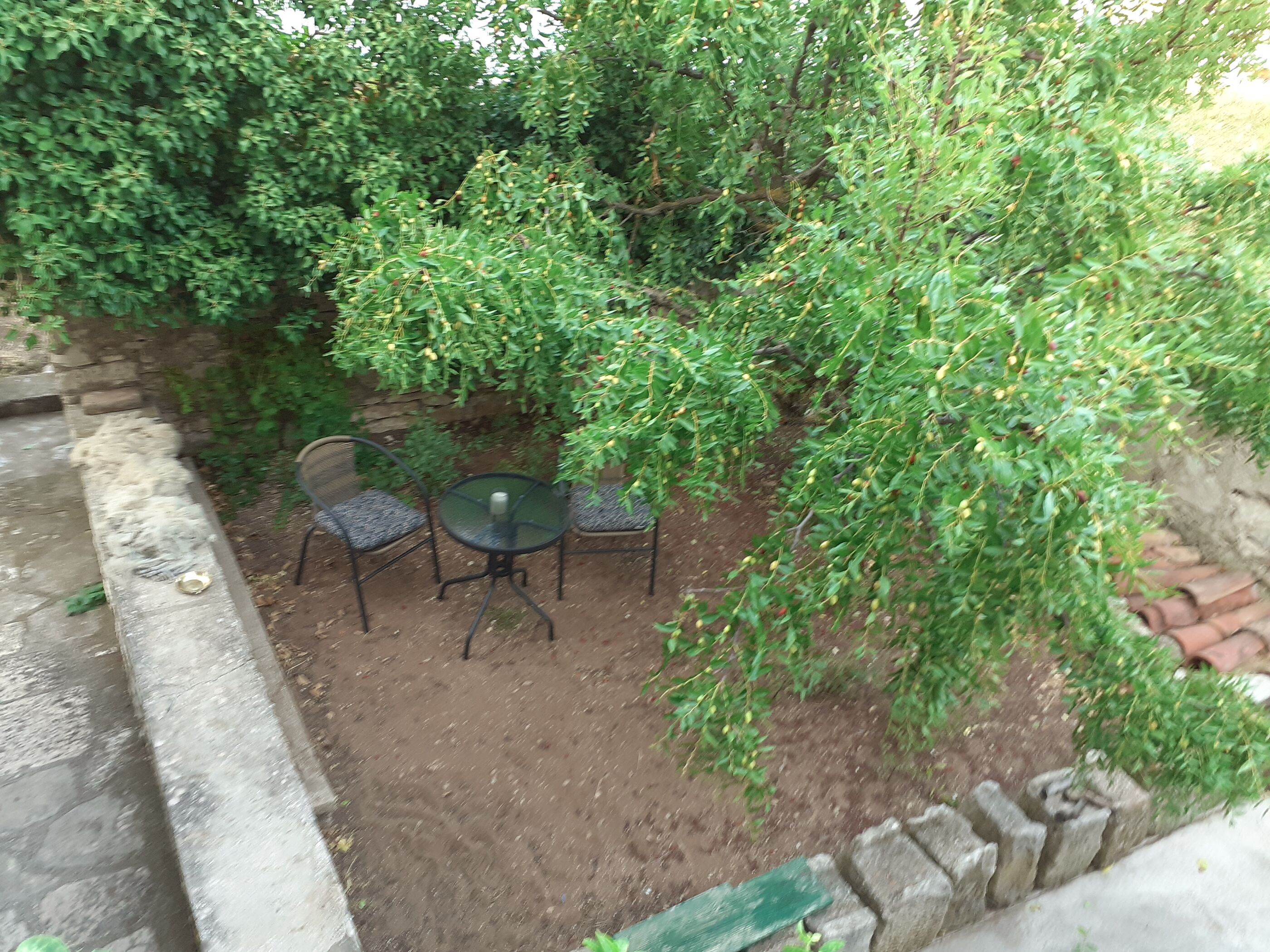 Apartment and Room Silvana 12081-S1
