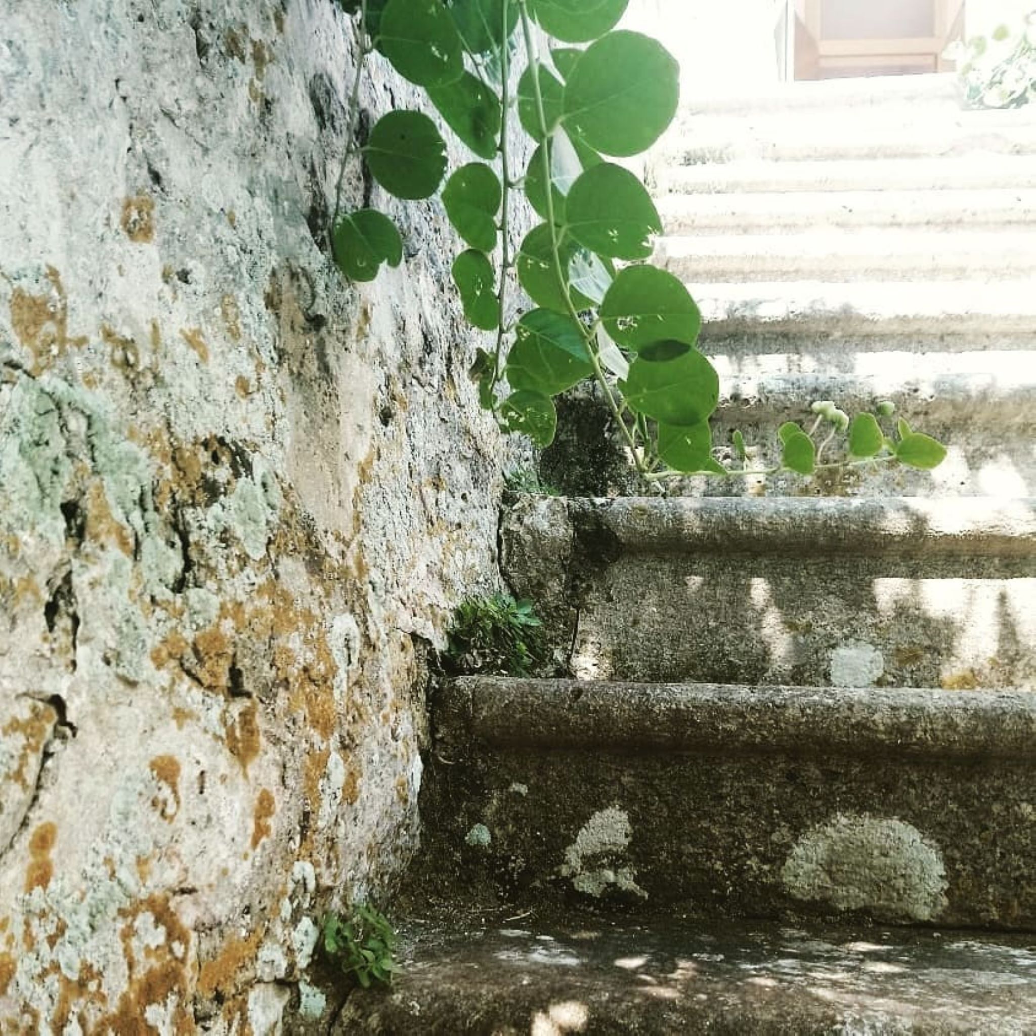 Photo of Apartment and Room Silvana