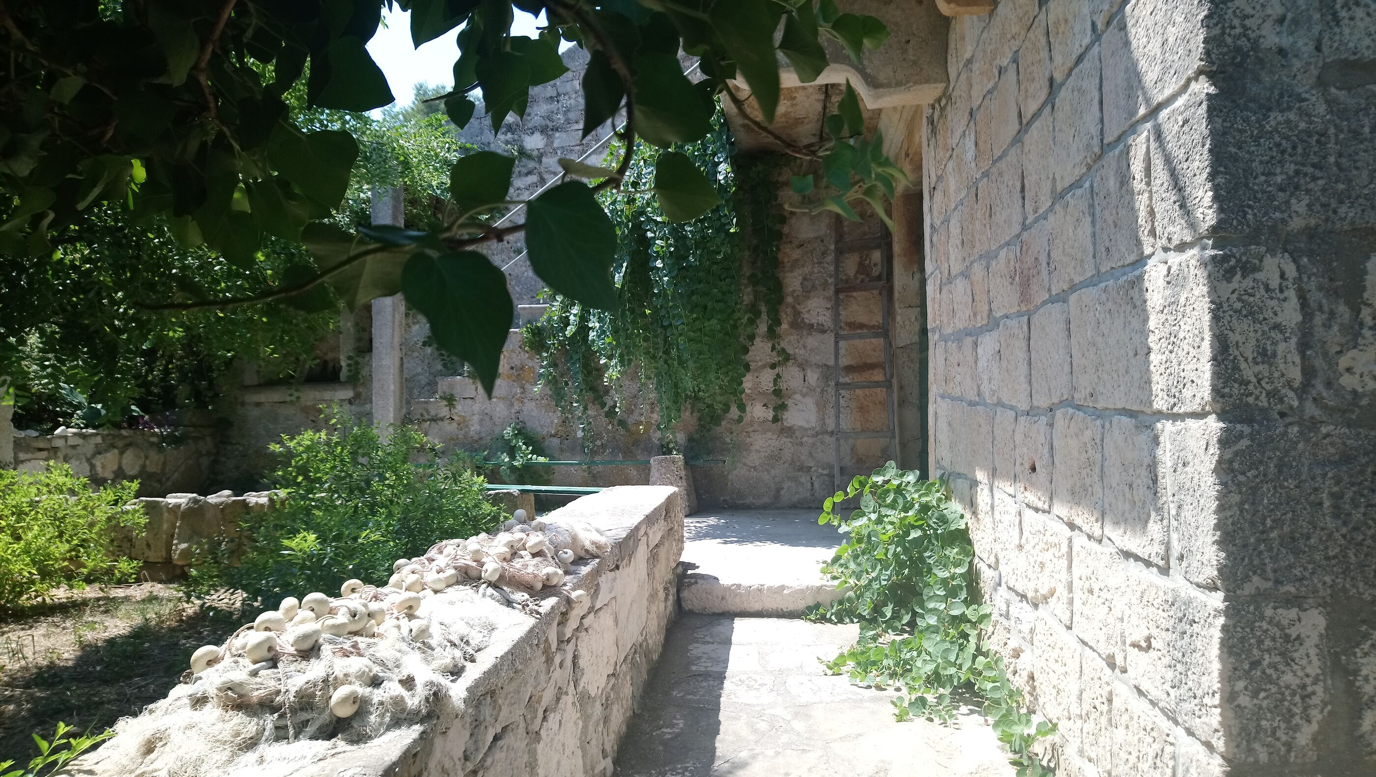 Apartment and Room Silvana 12081-S1