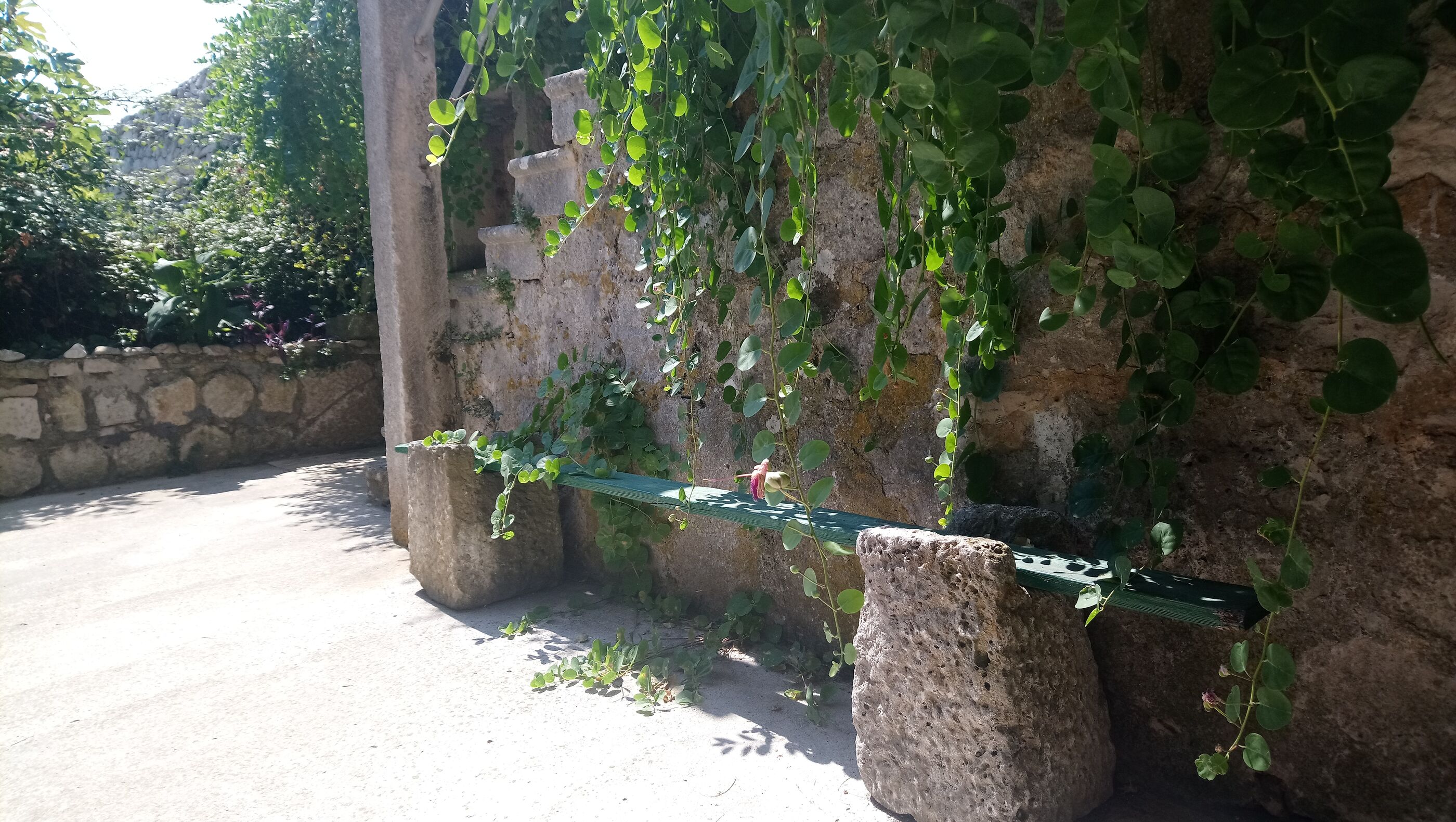 Photo of Apartment and Room Silvana