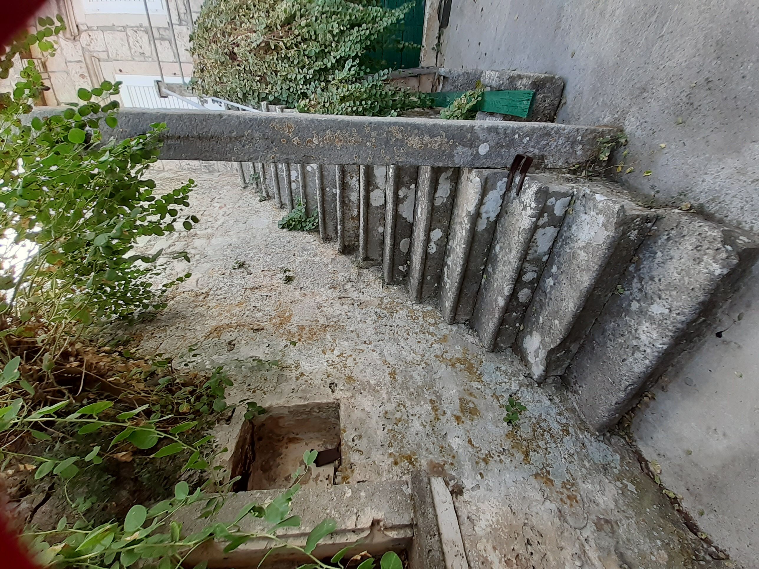 Apartment and Room Silvana 12081-S1