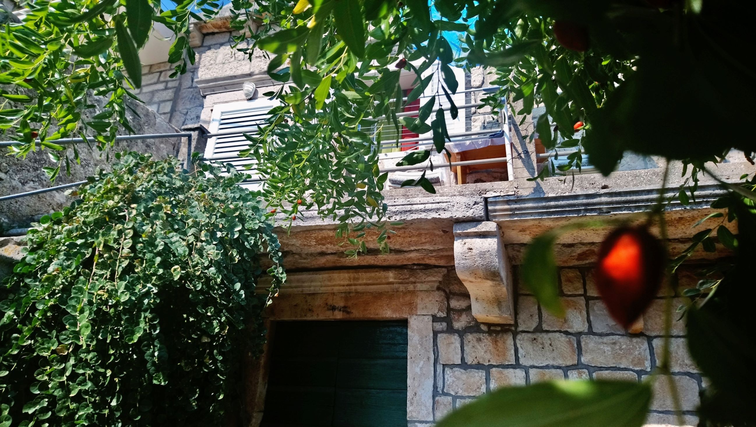 Apartment and Room Silvana 12081-S1