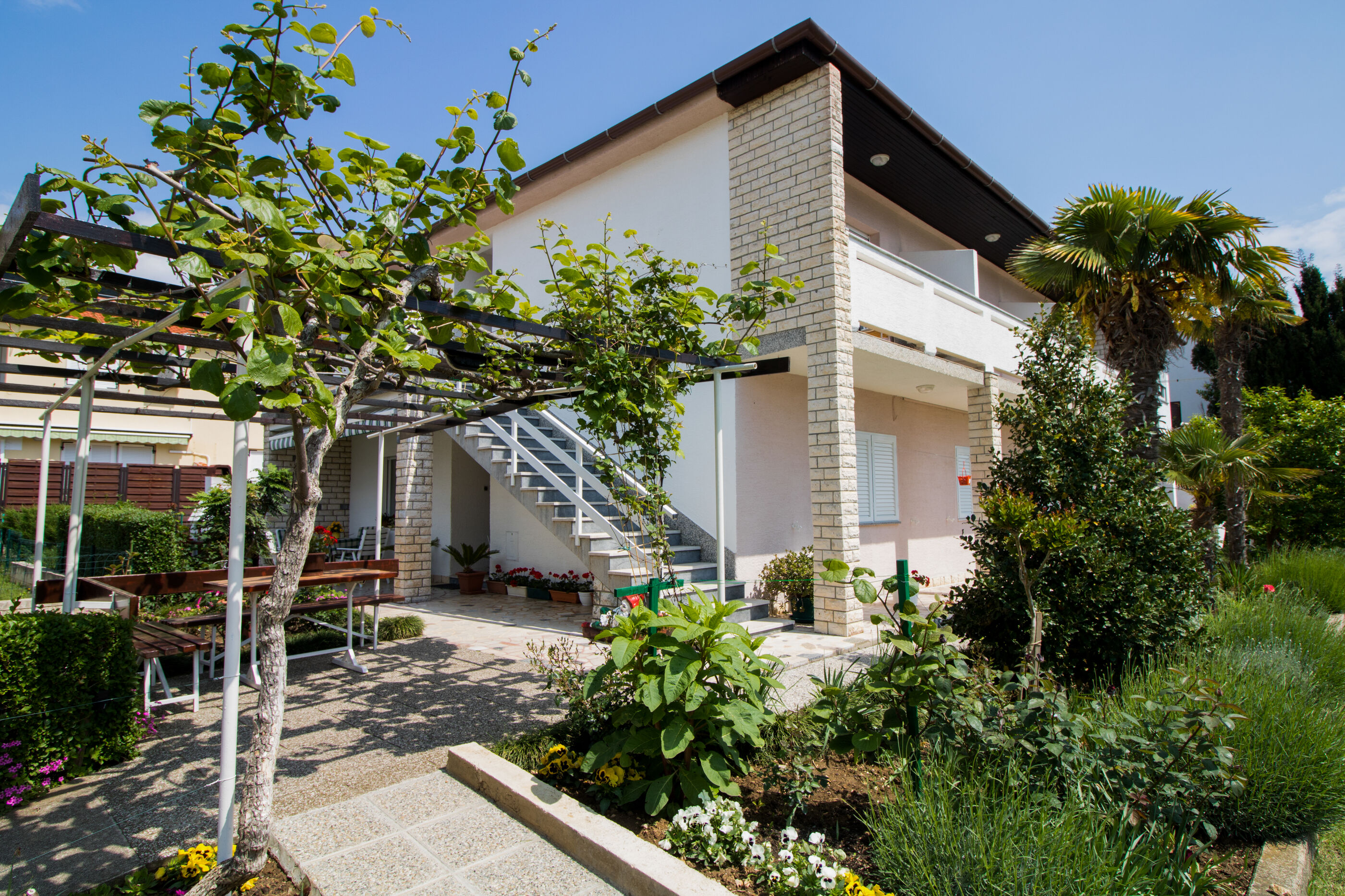 Apartment and Rooms Albina 48321-S3