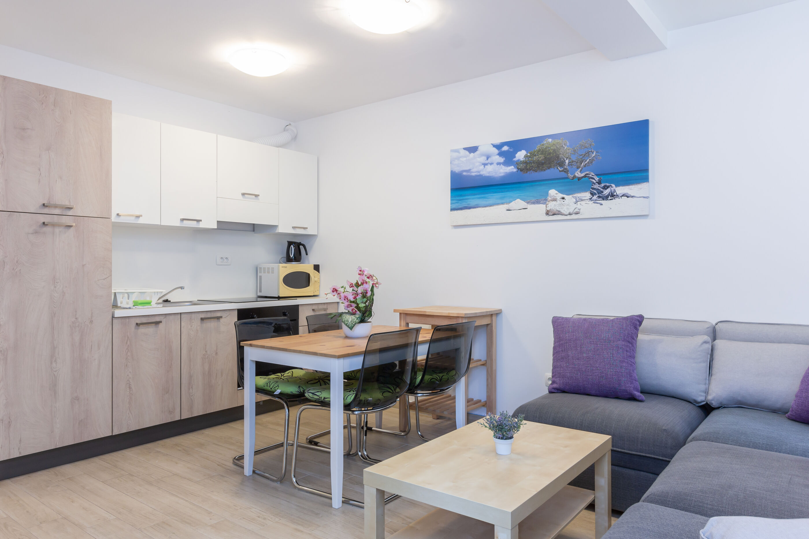 Apartments Vugrinec 79626-A3
