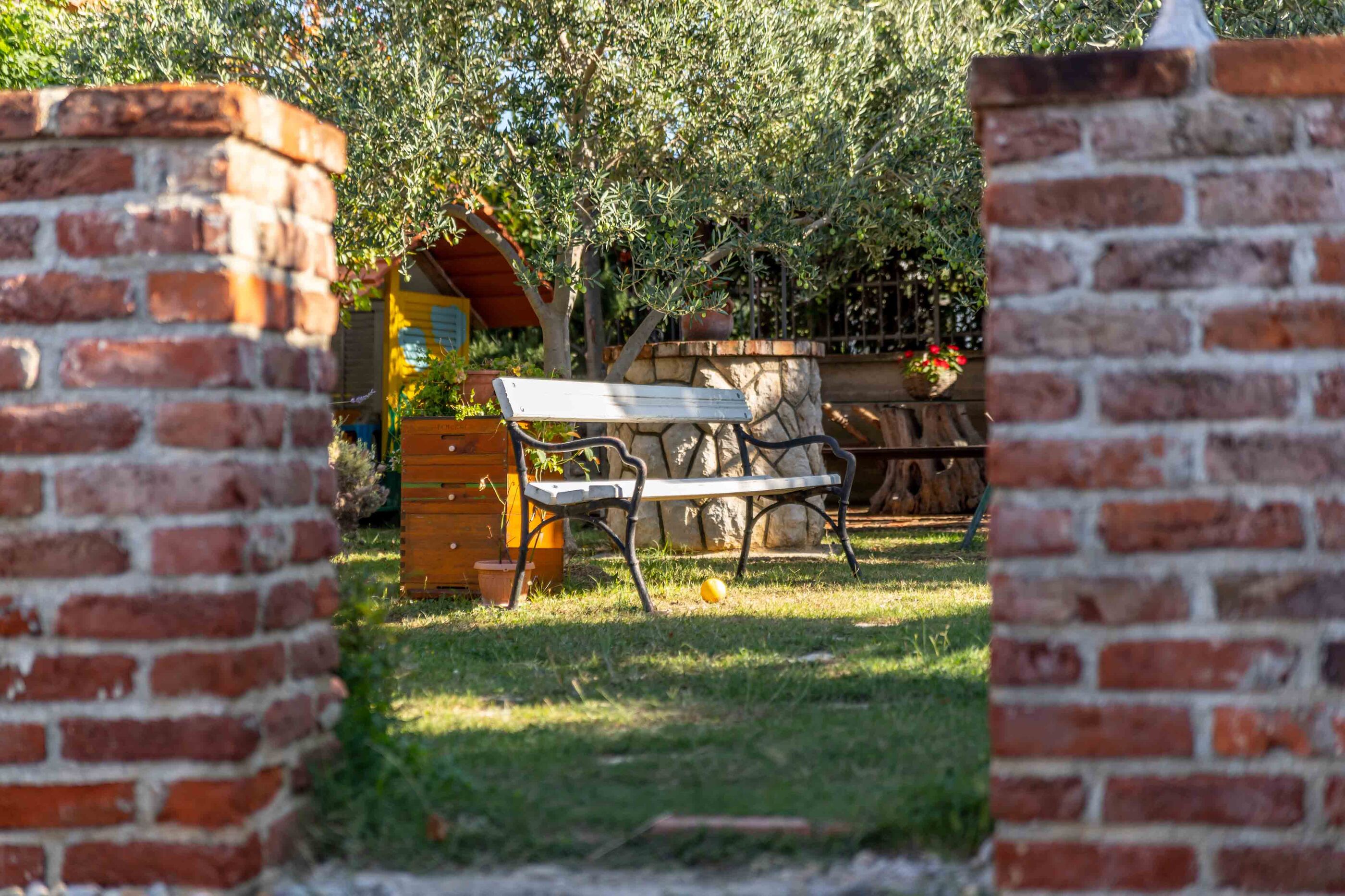 Photo of Apartments Vintage