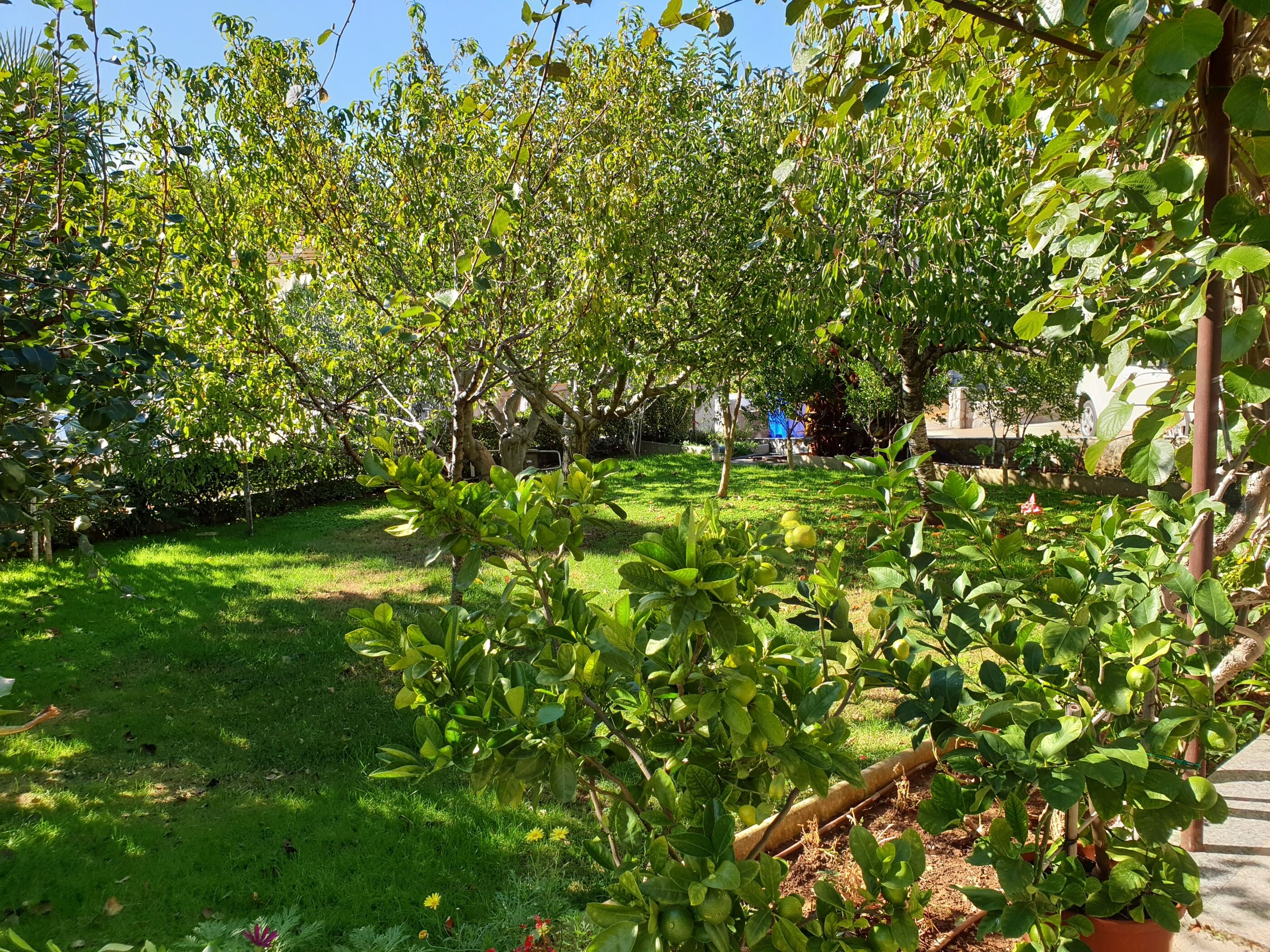 Apartmani Kirinčić N. A2