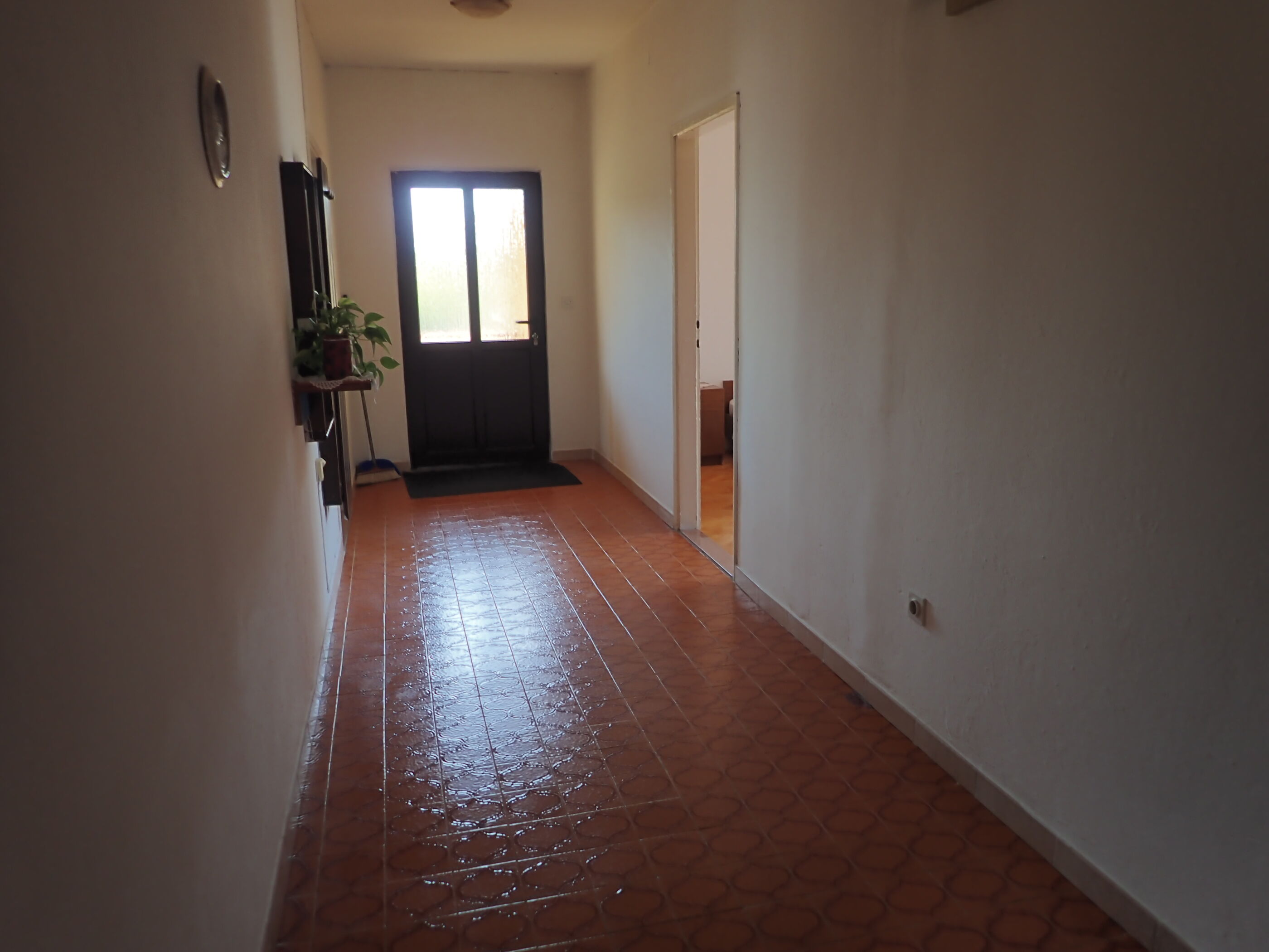 Apartment ANICA-comfy place for 5 with seaview 81617-A1