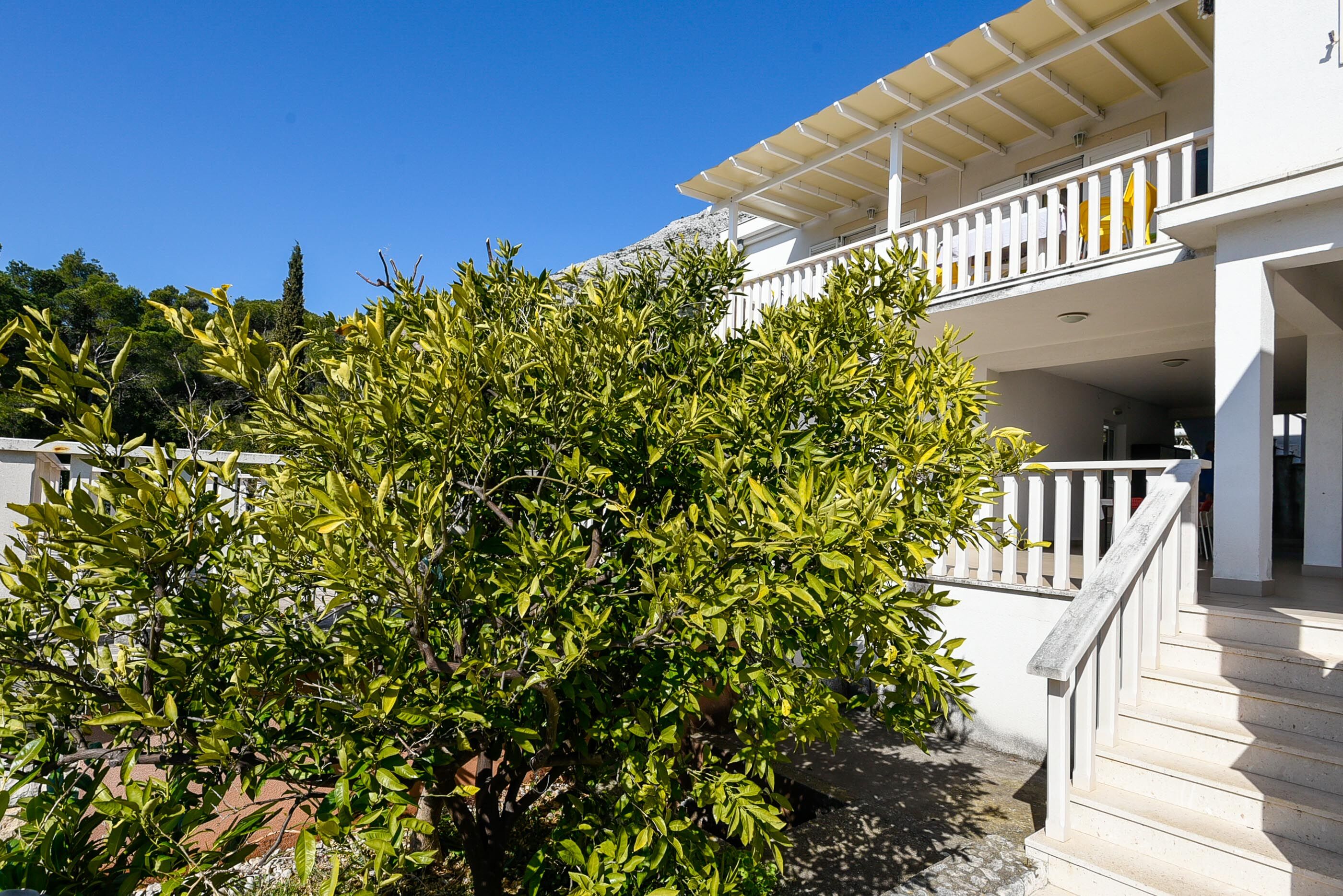 Apartment Suhor 33558-A1