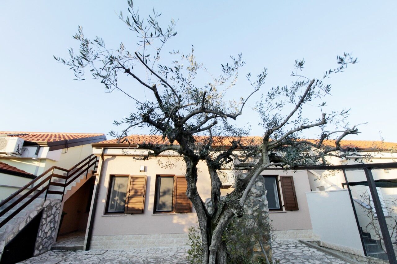 Apartmaji Sea view Melita Monterosso A1
