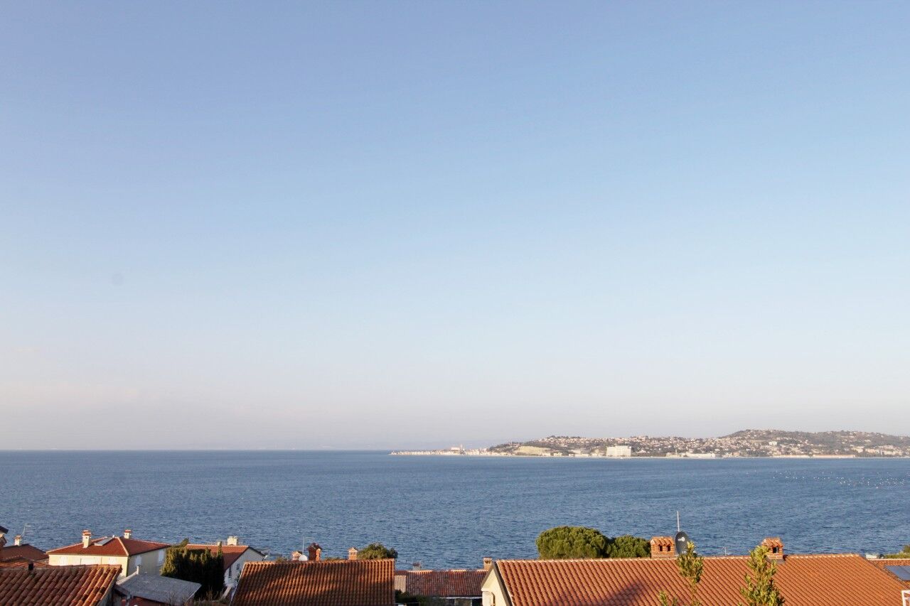Apartments Sea view Melita Monterosso 83316-A2