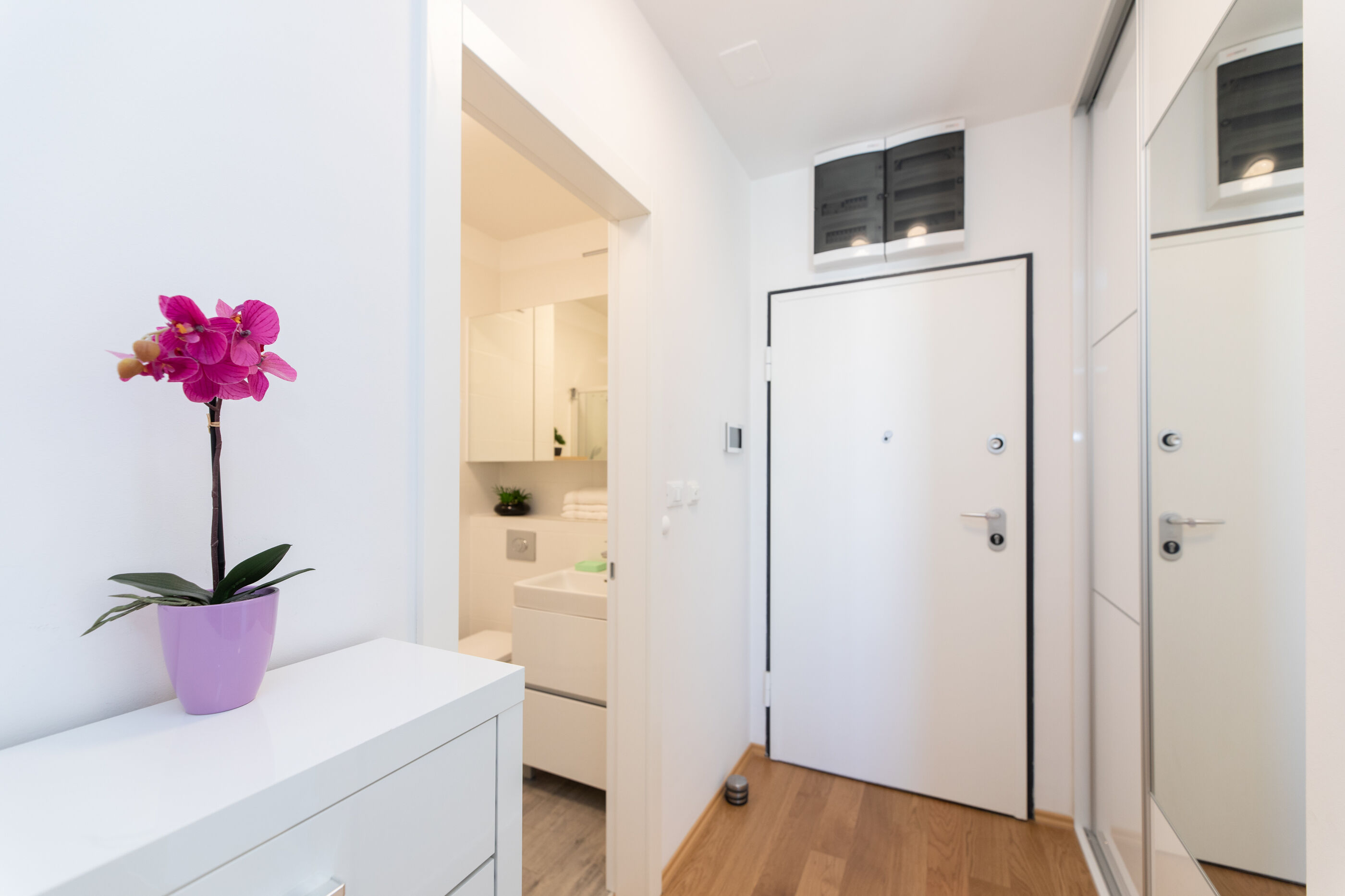 Apartment Split Sky 78946-A1