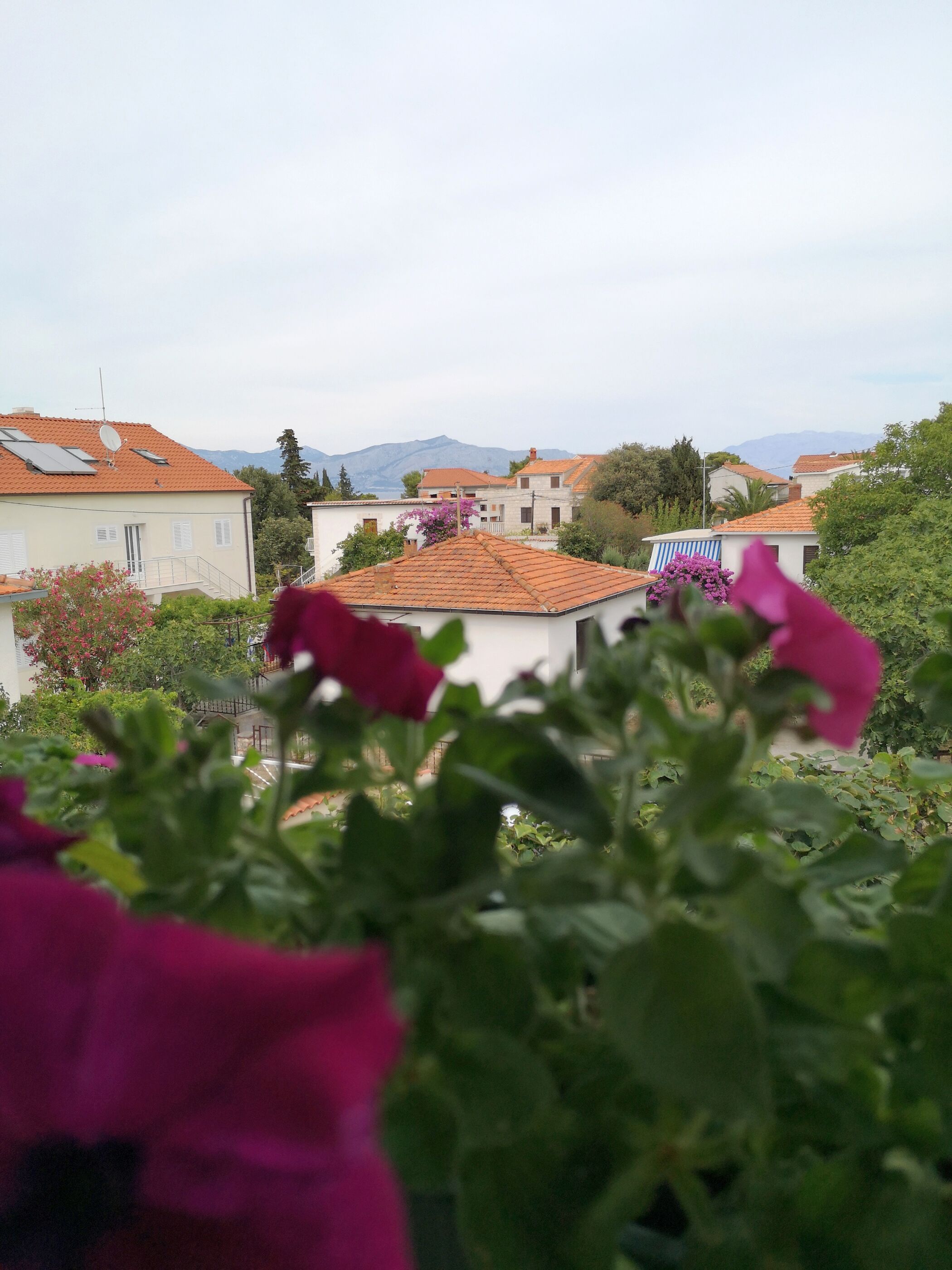 Apartments Nataša 40591-A1