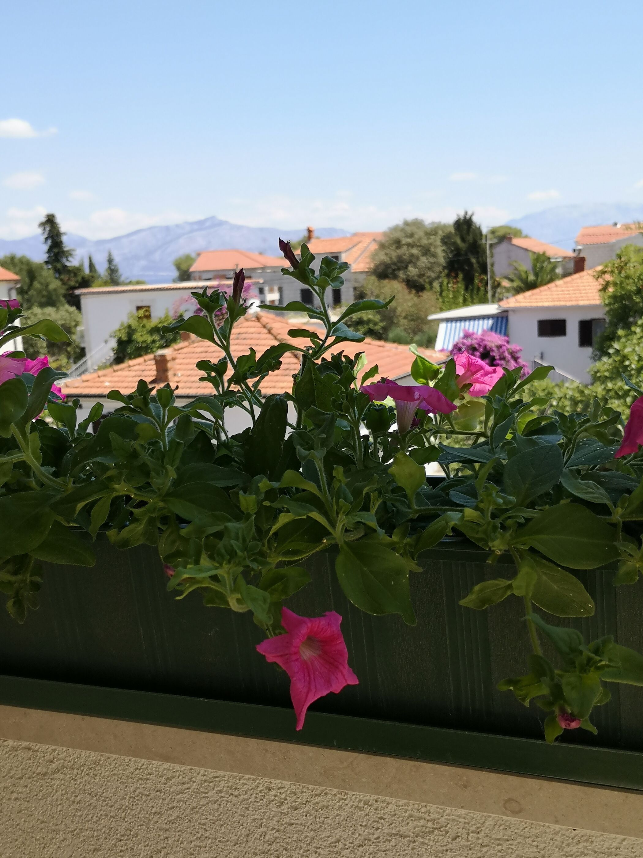 Apartments Nataša 40591-A1