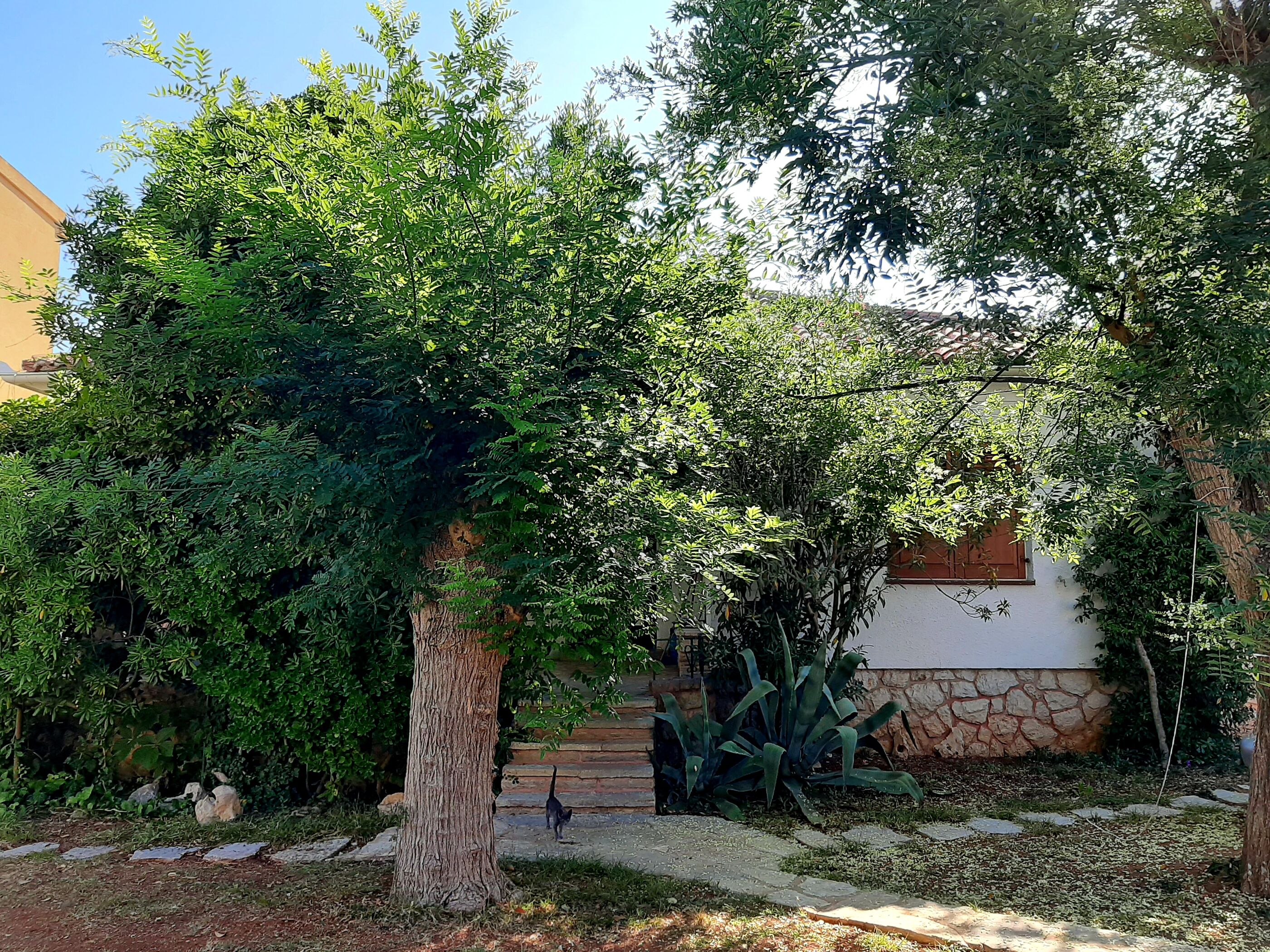 House Leticija  rustica 20885-K1