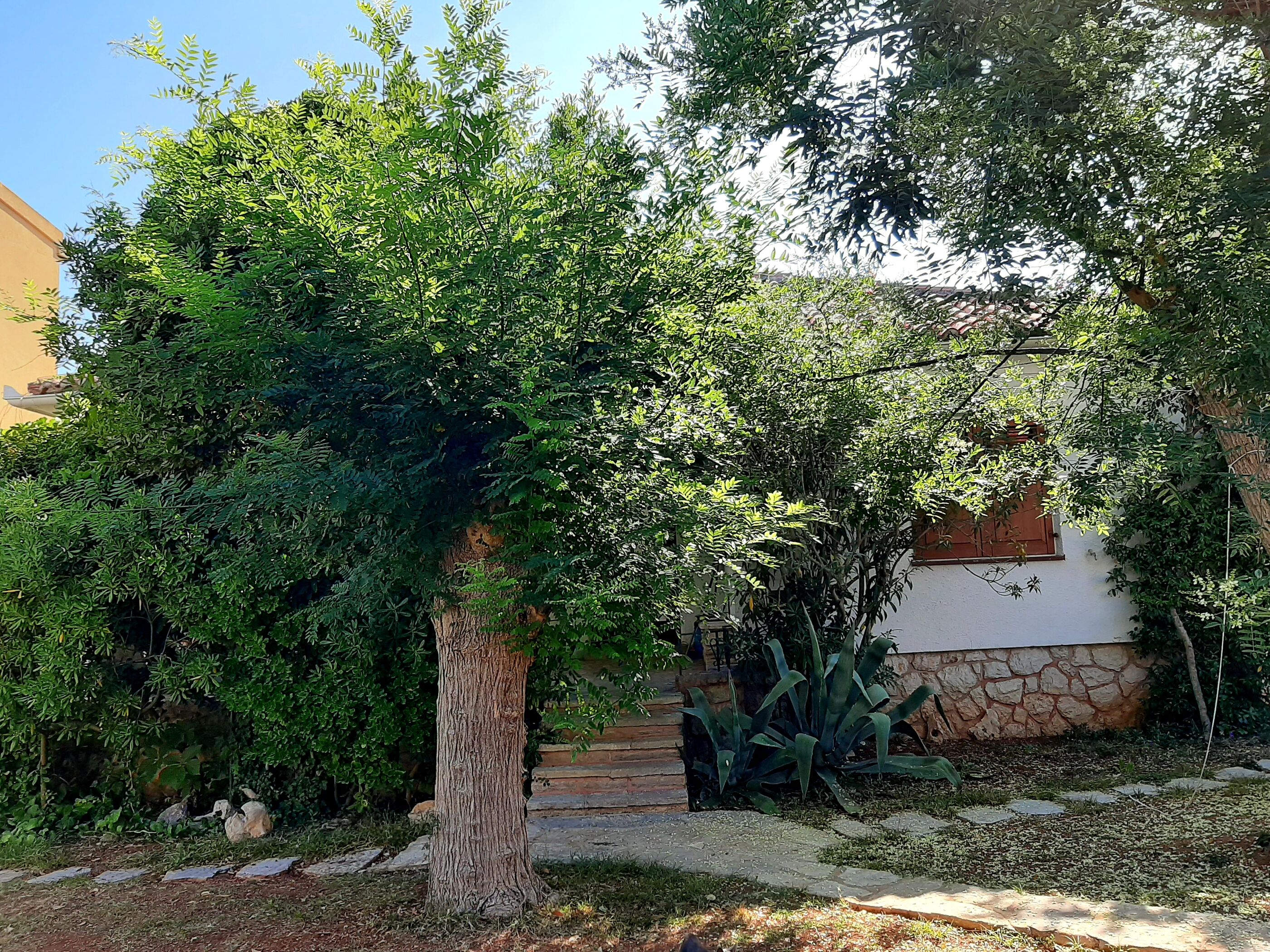 House Leticija  rustica 20885-K1