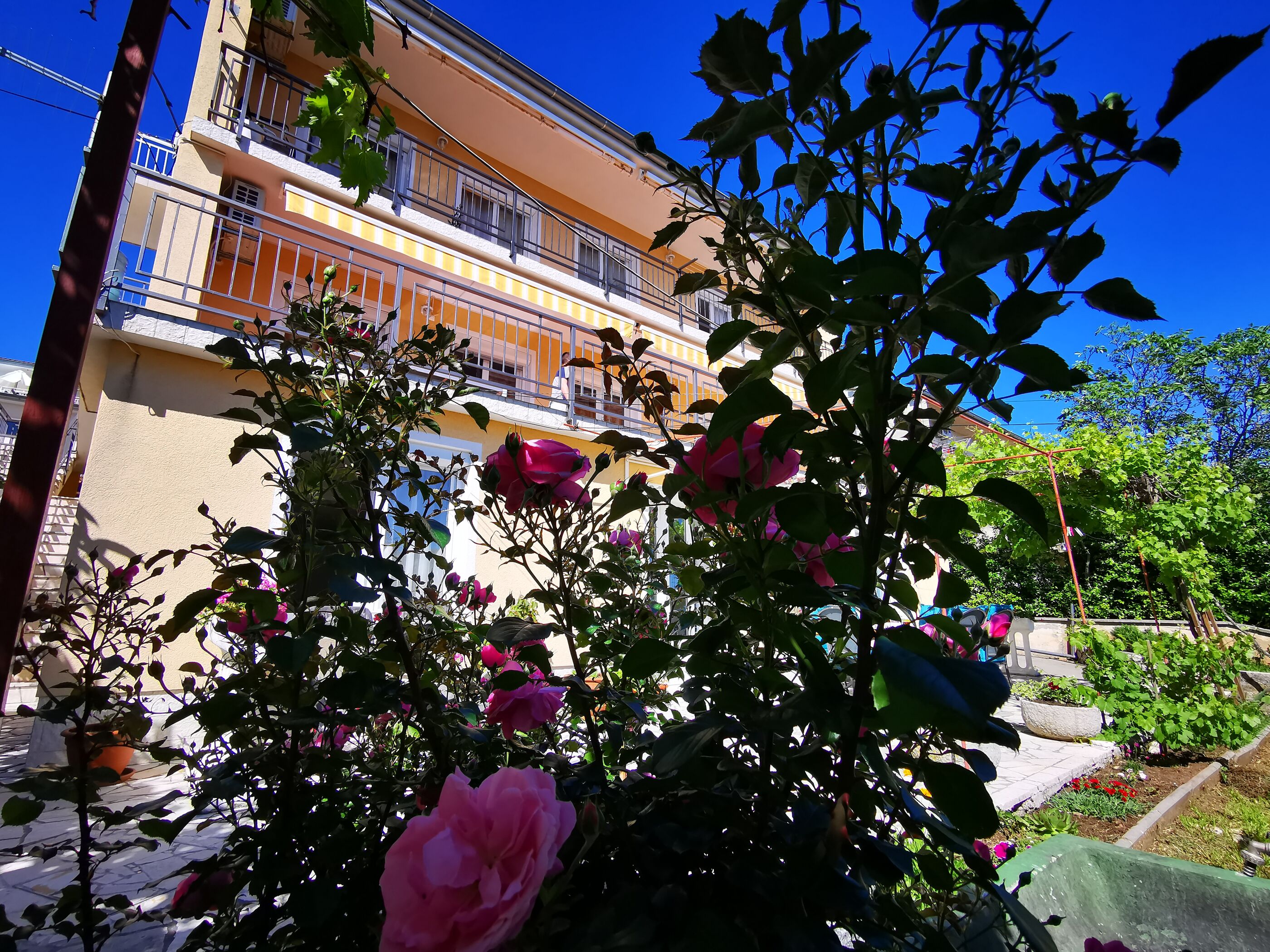 Apartment Lidija 81531-A1