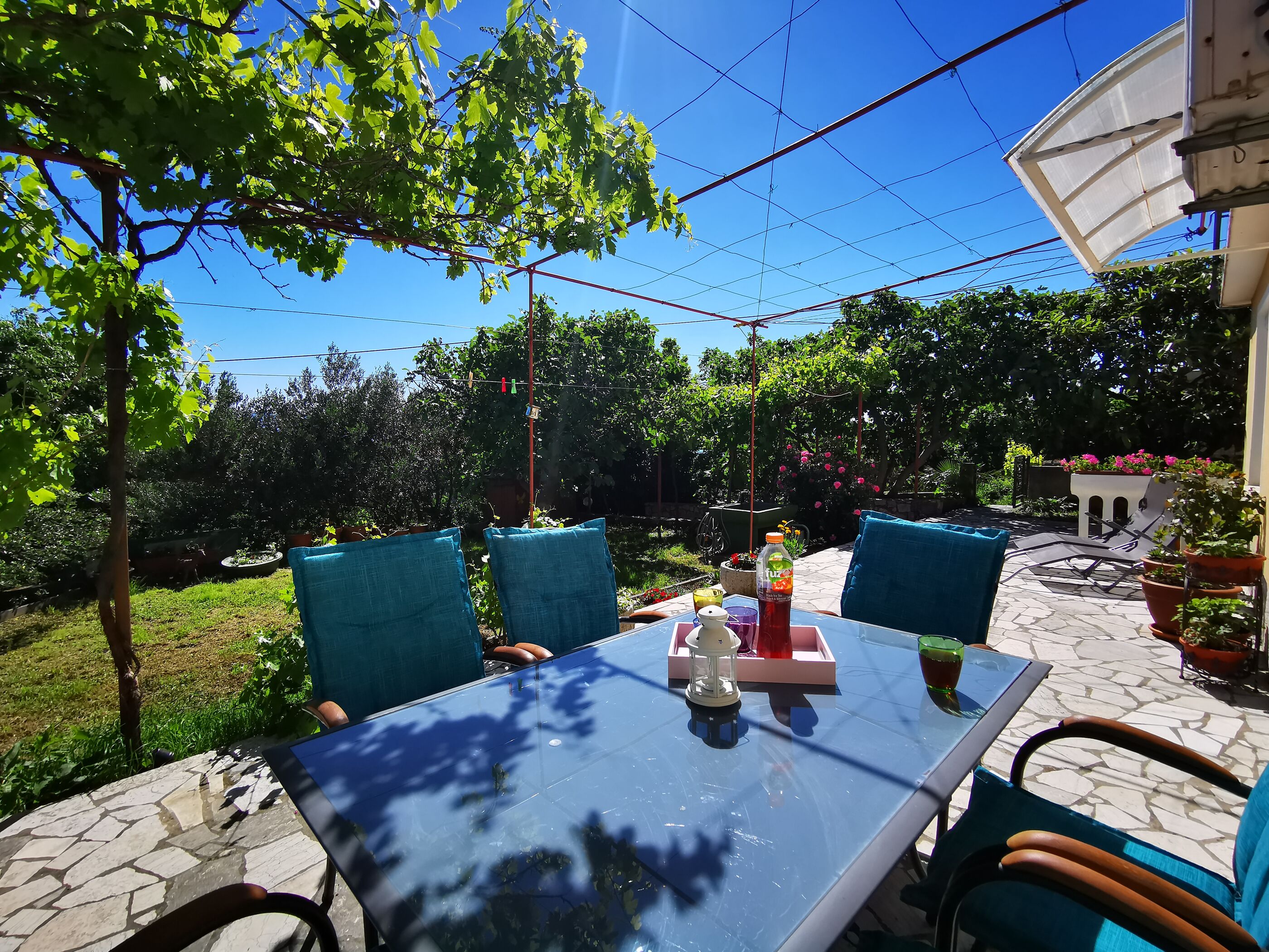 Apartment Lidija 81531-A1