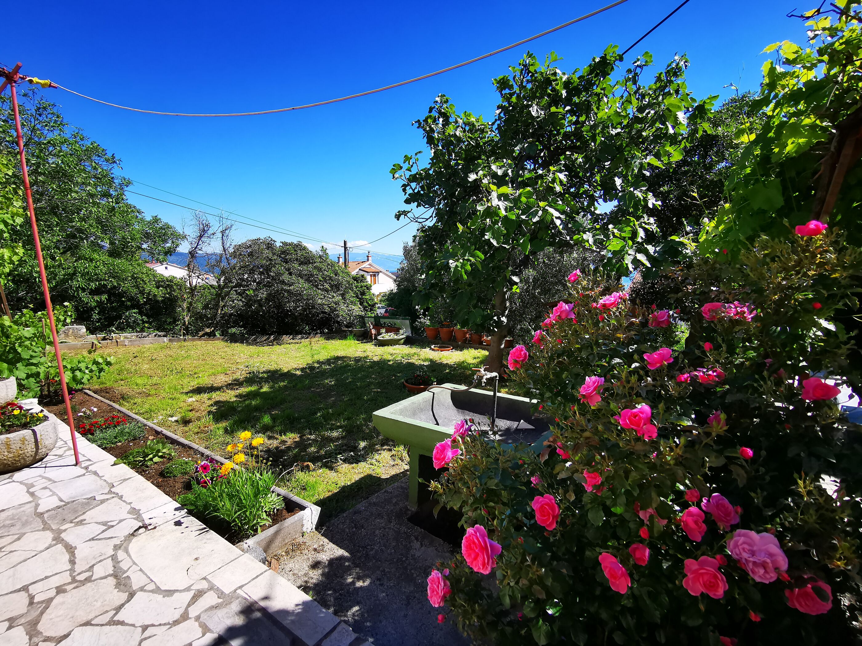 Apartment Lidija 81531-A1