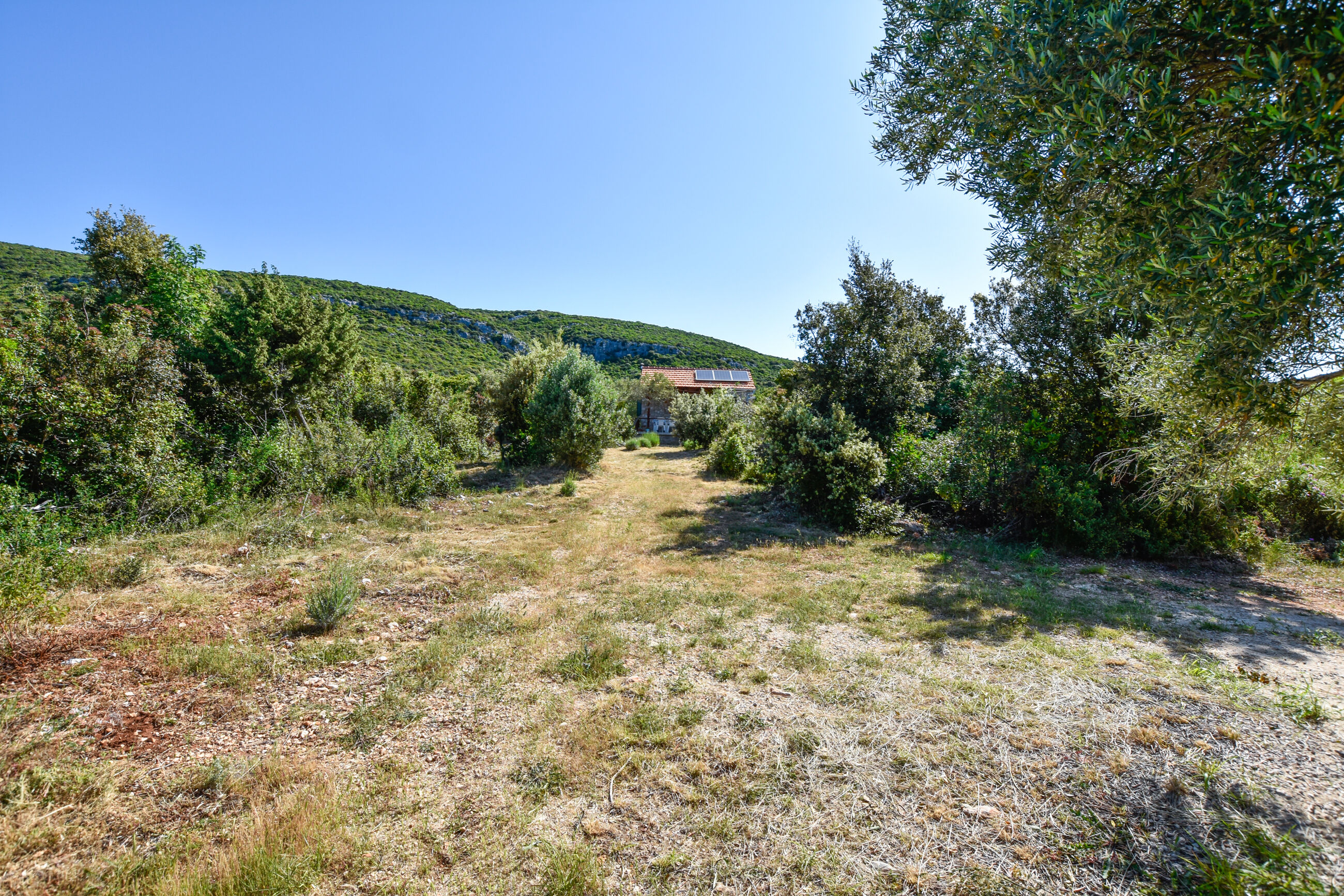 House Filip 81551-K1