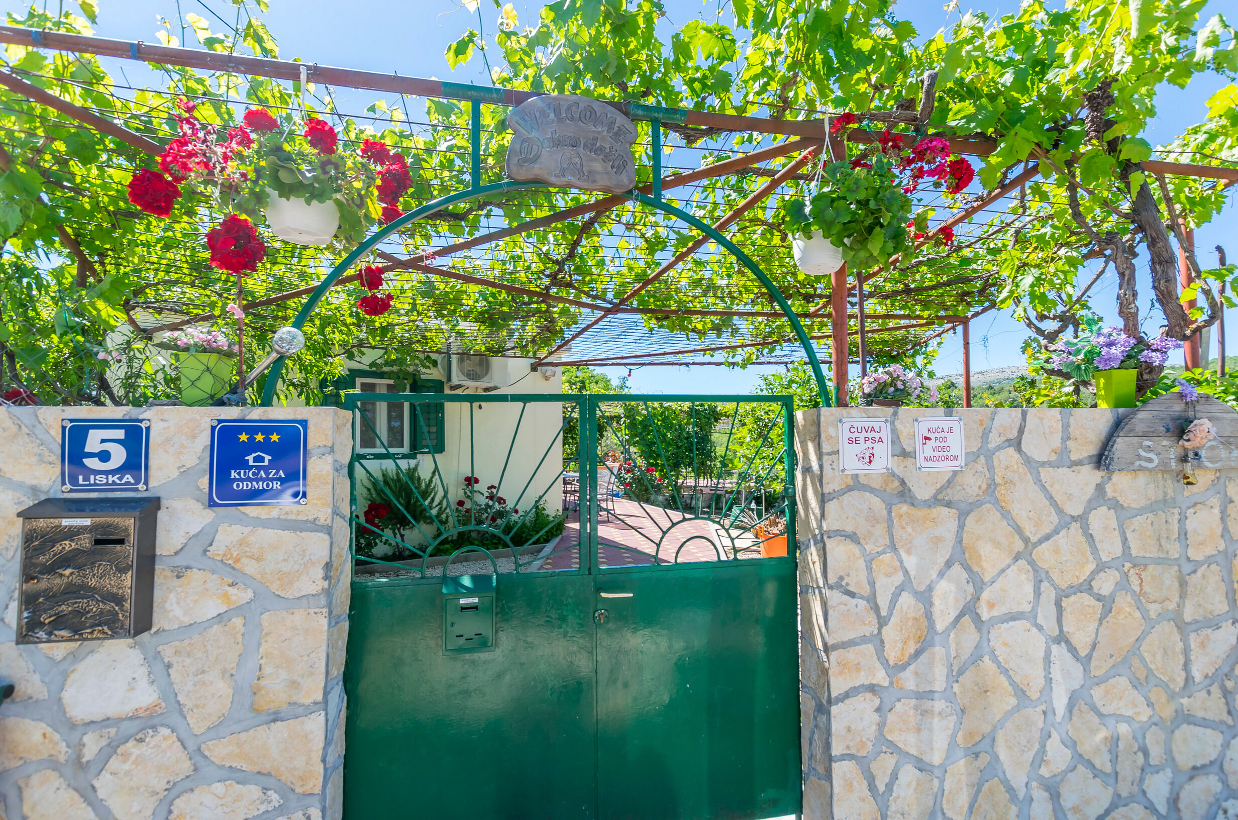 House Green Paradise 55981-K1