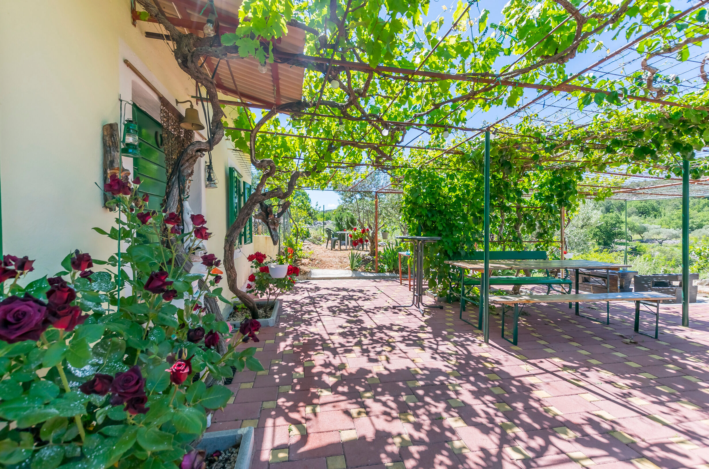 House Green Paradise 55981-K1