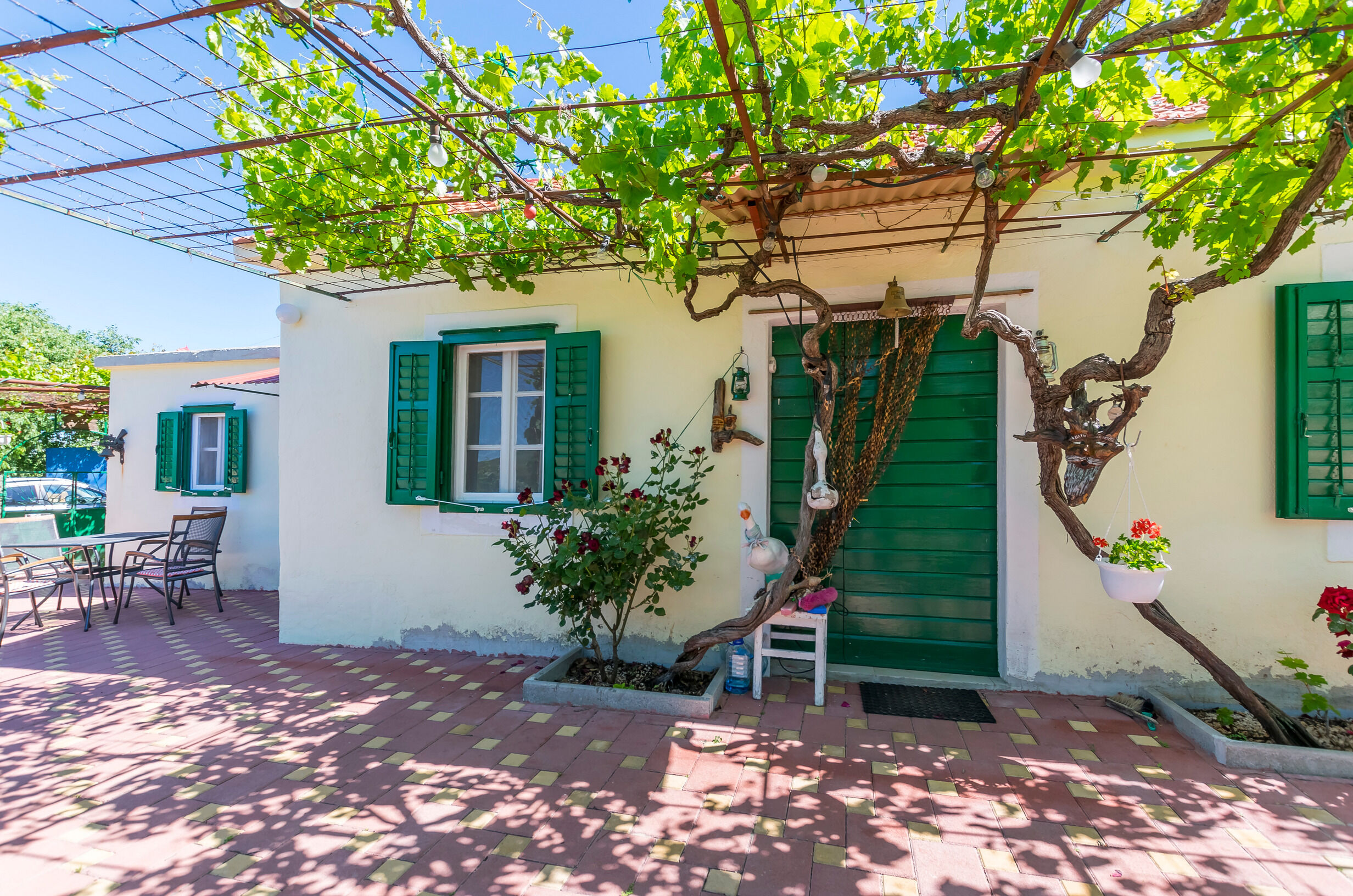 House Green Paradise 55981-K1