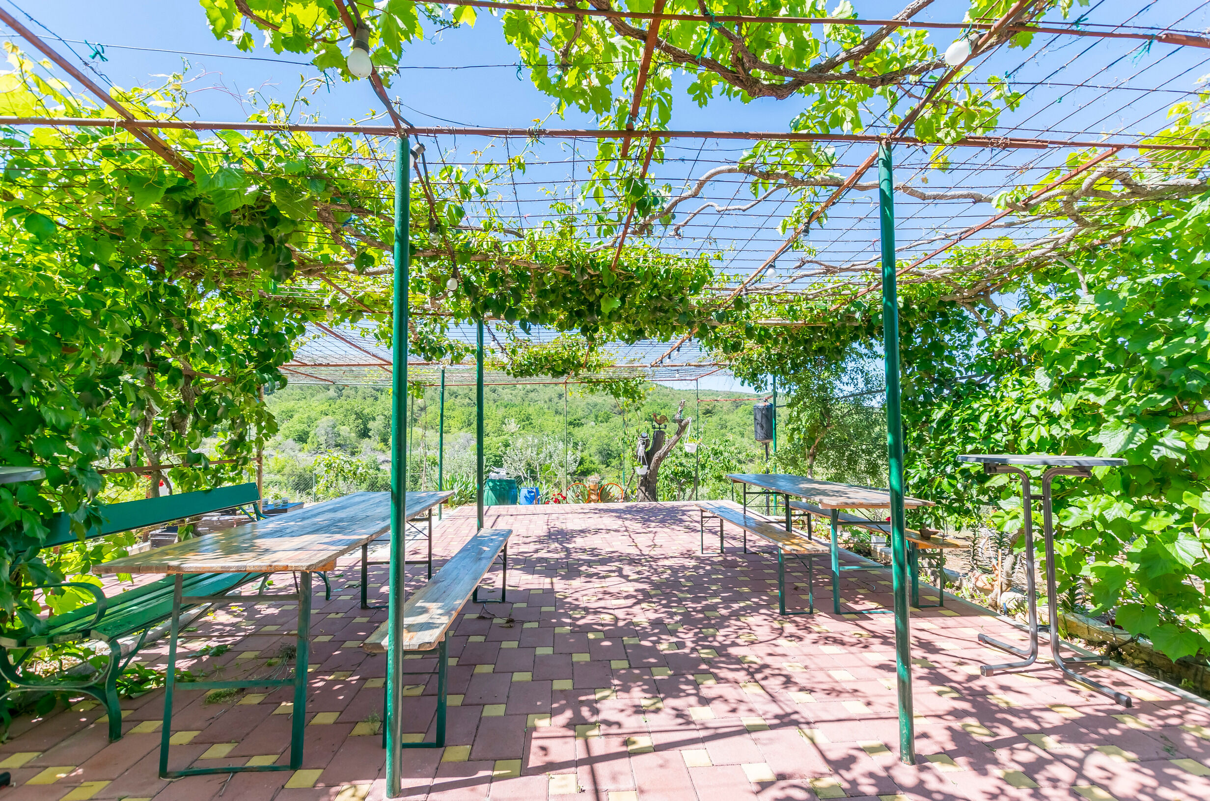 House Green Paradise 55981-K1