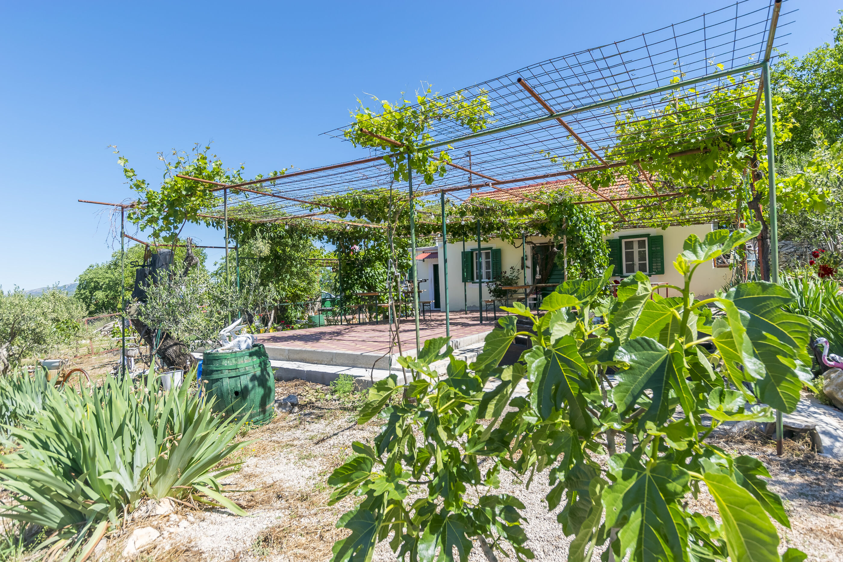 House Green Paradise 55981-K1