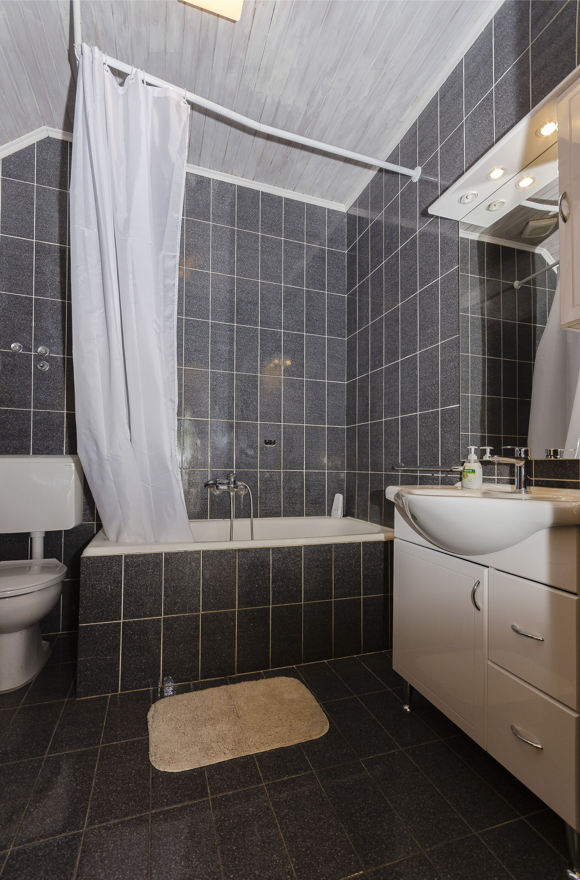 Apartment and Rooms Ema 11471-A1