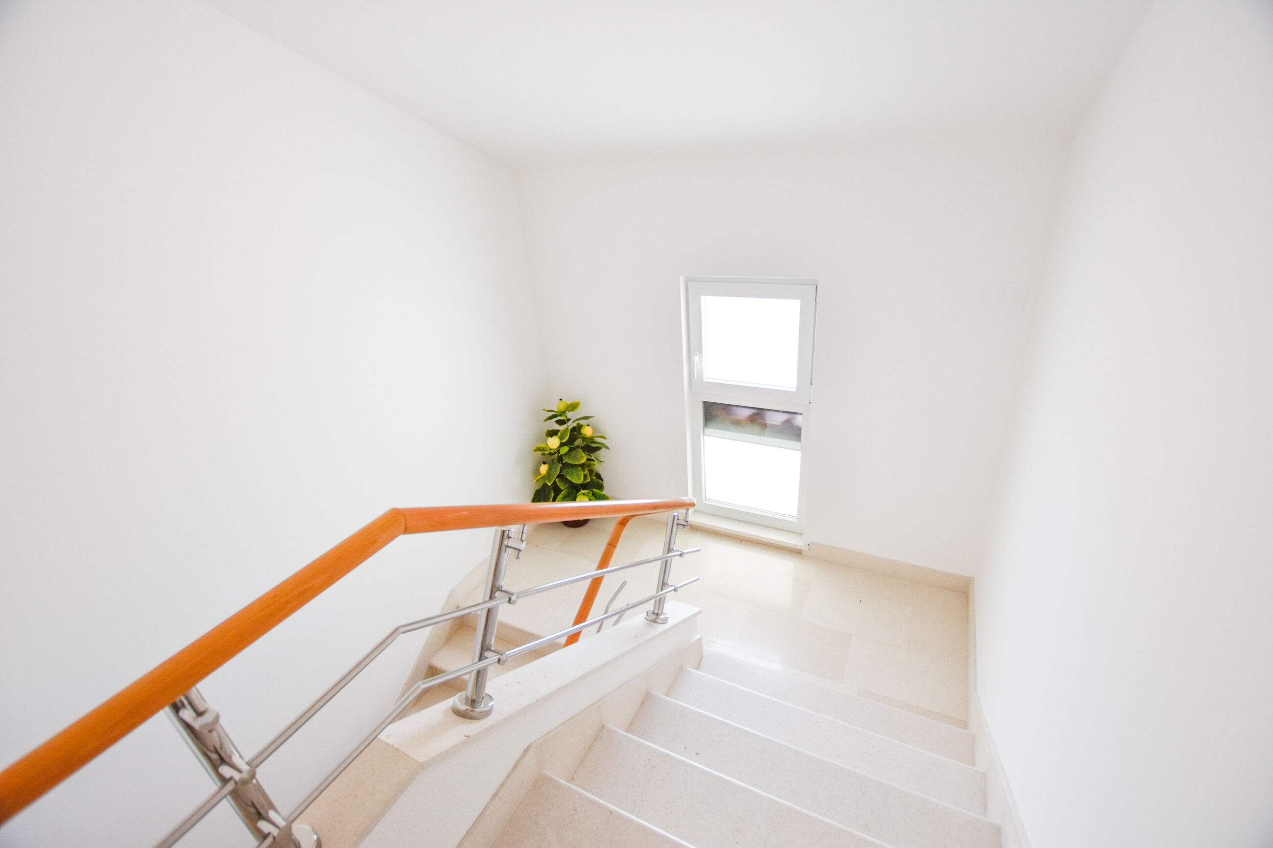 Apartments and Room Danijel 13811-A2