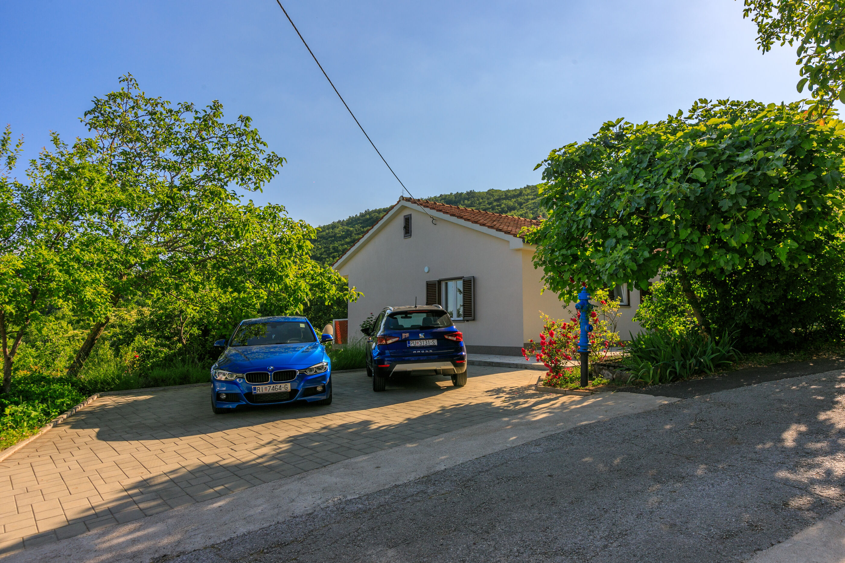 House Vicky 81391-K1