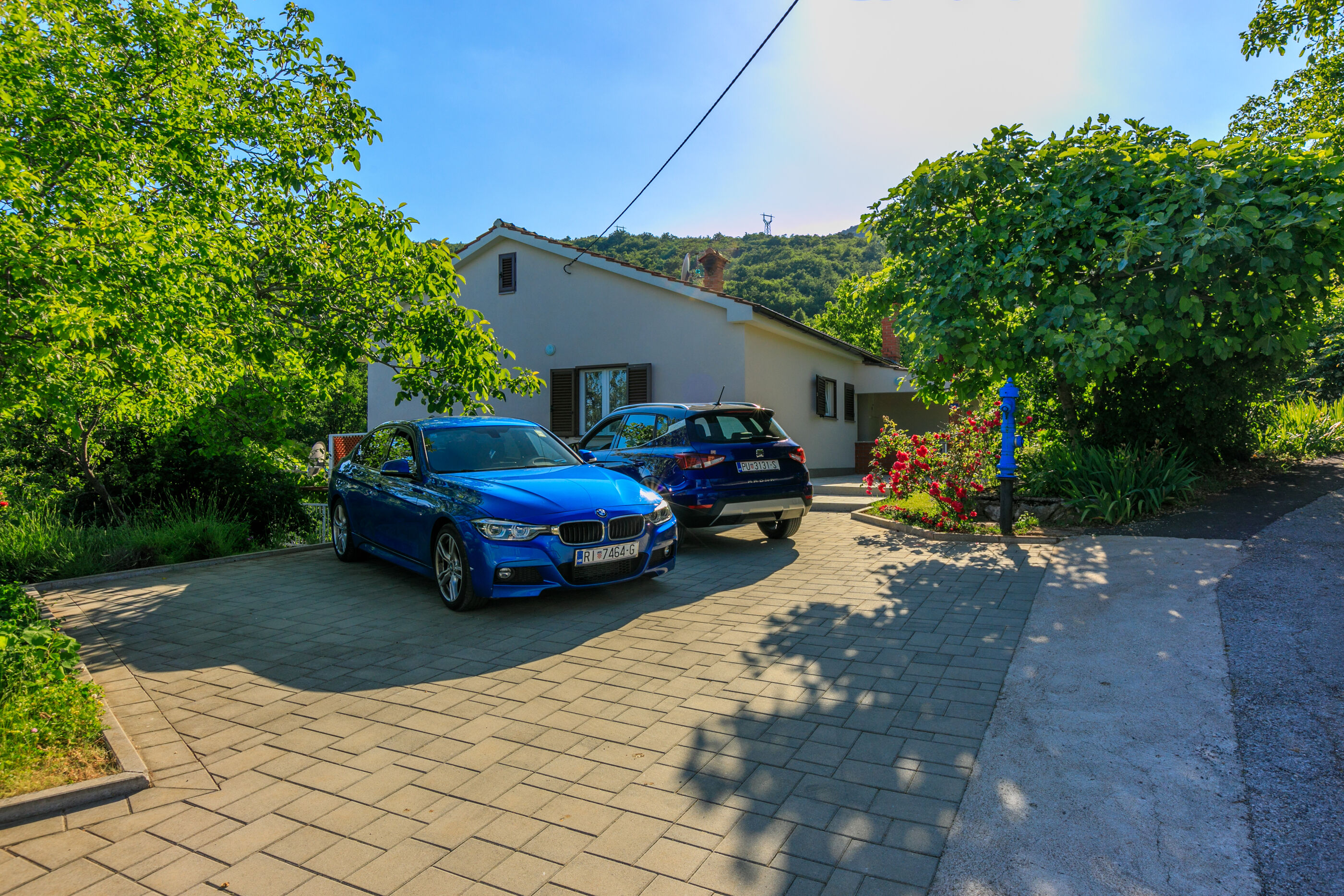 House Vicky 81391-K1