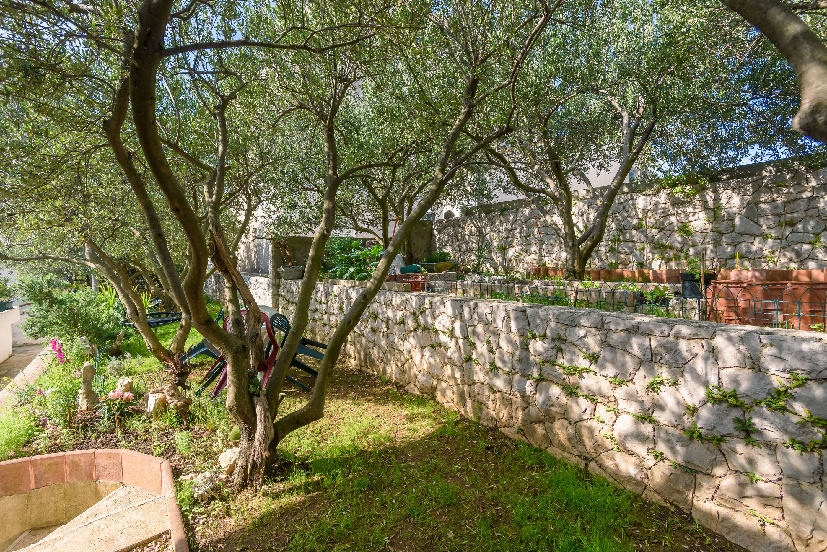 Apartments Zdravko 81491-A1