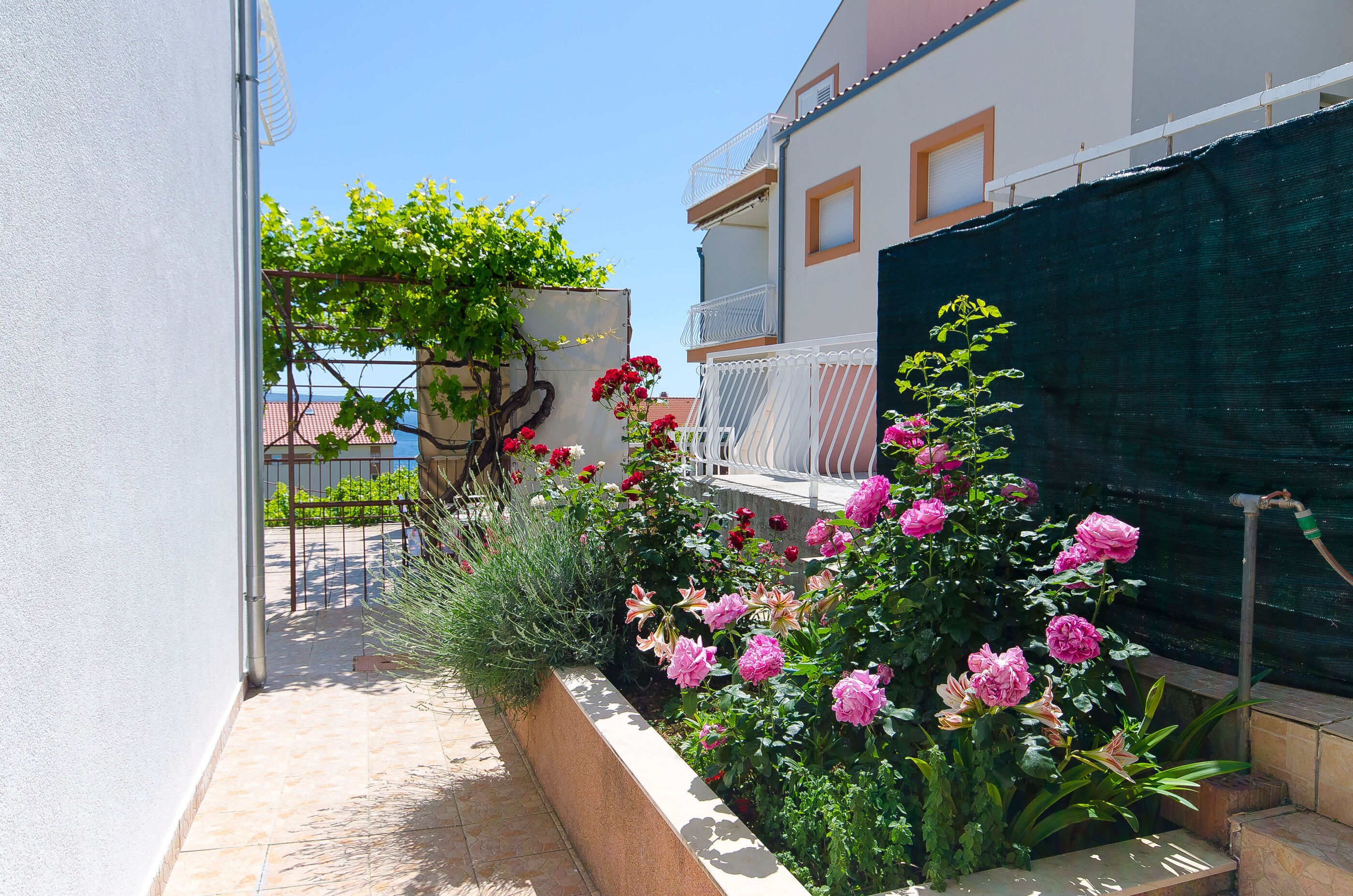 Apartment Marija 82161-A1