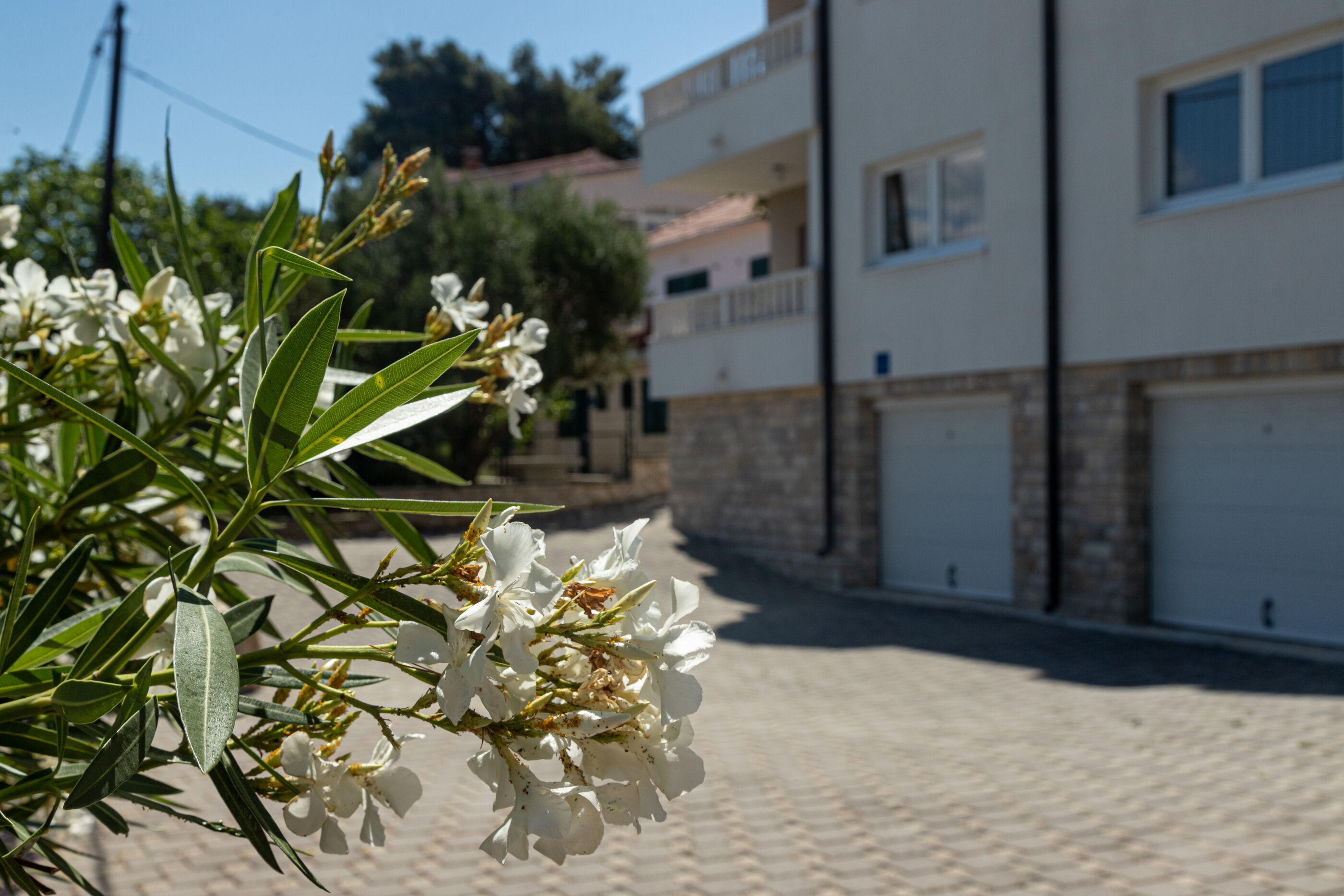 Apartments Janja 30131-A2