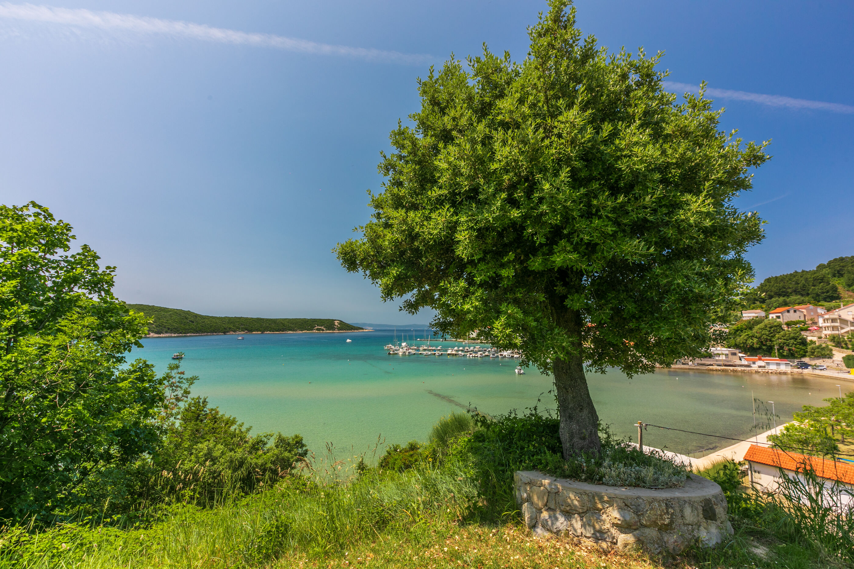 Photo of Apartments Ivan