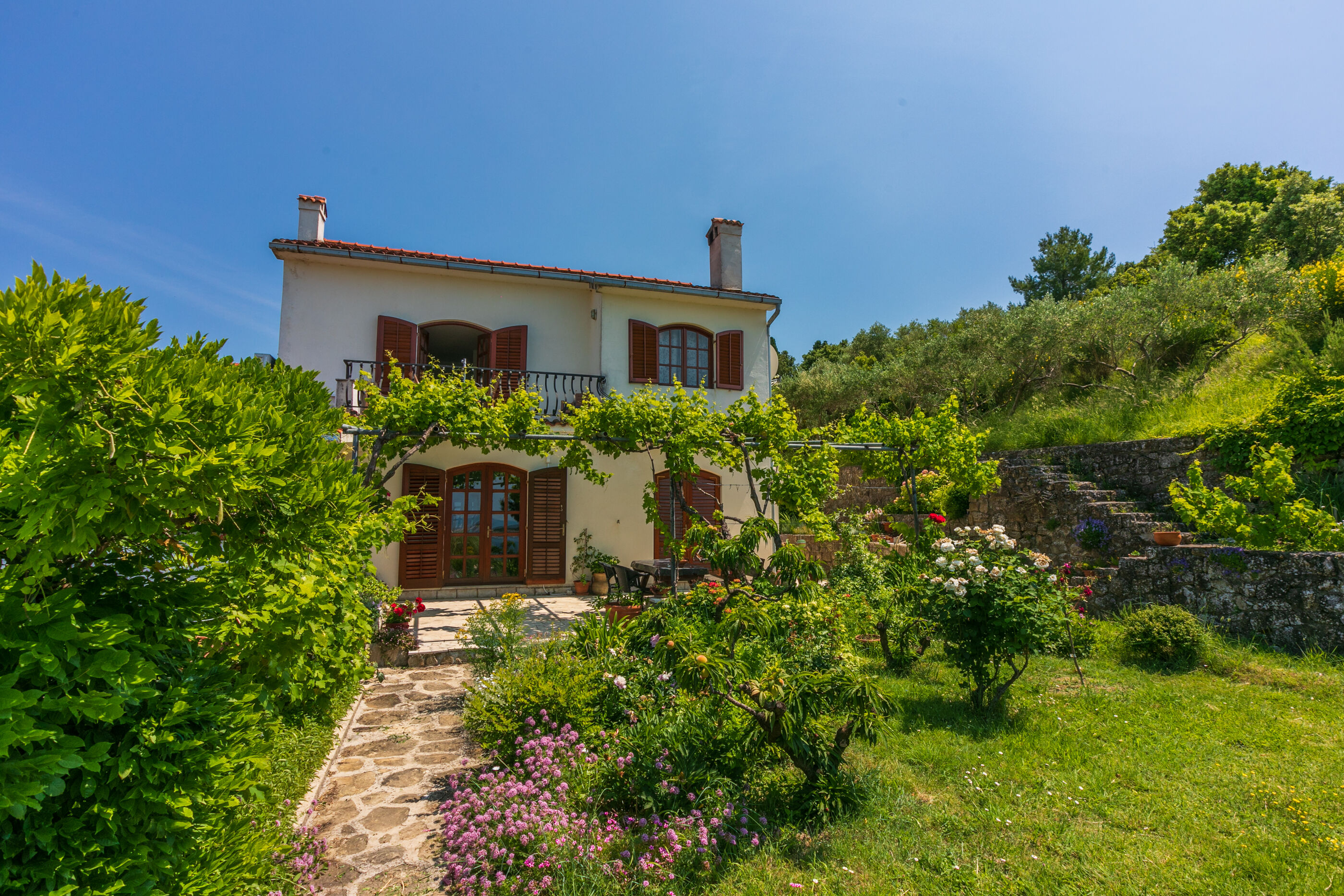 Photo of Apartments Ivan