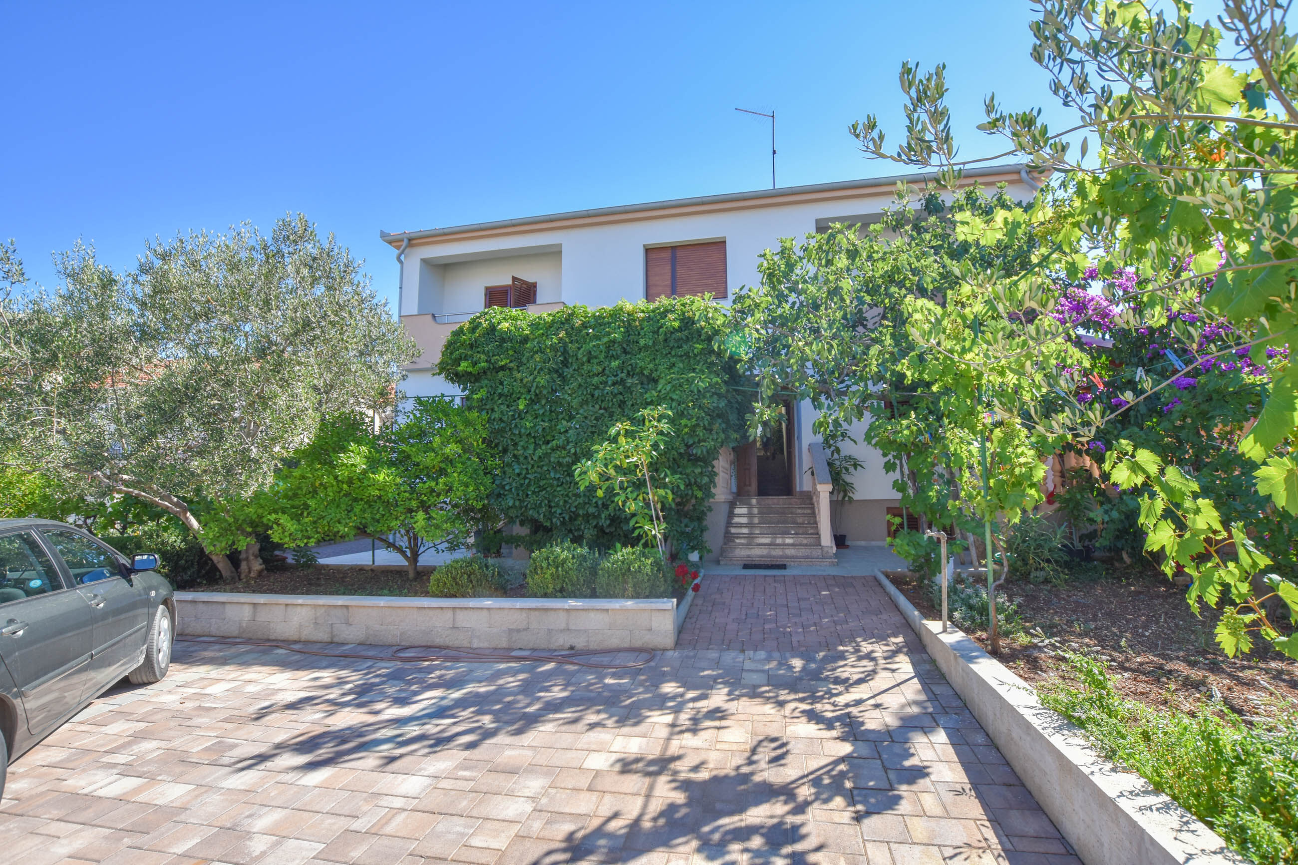 Apartments Immortelle Accommodation in Biograd