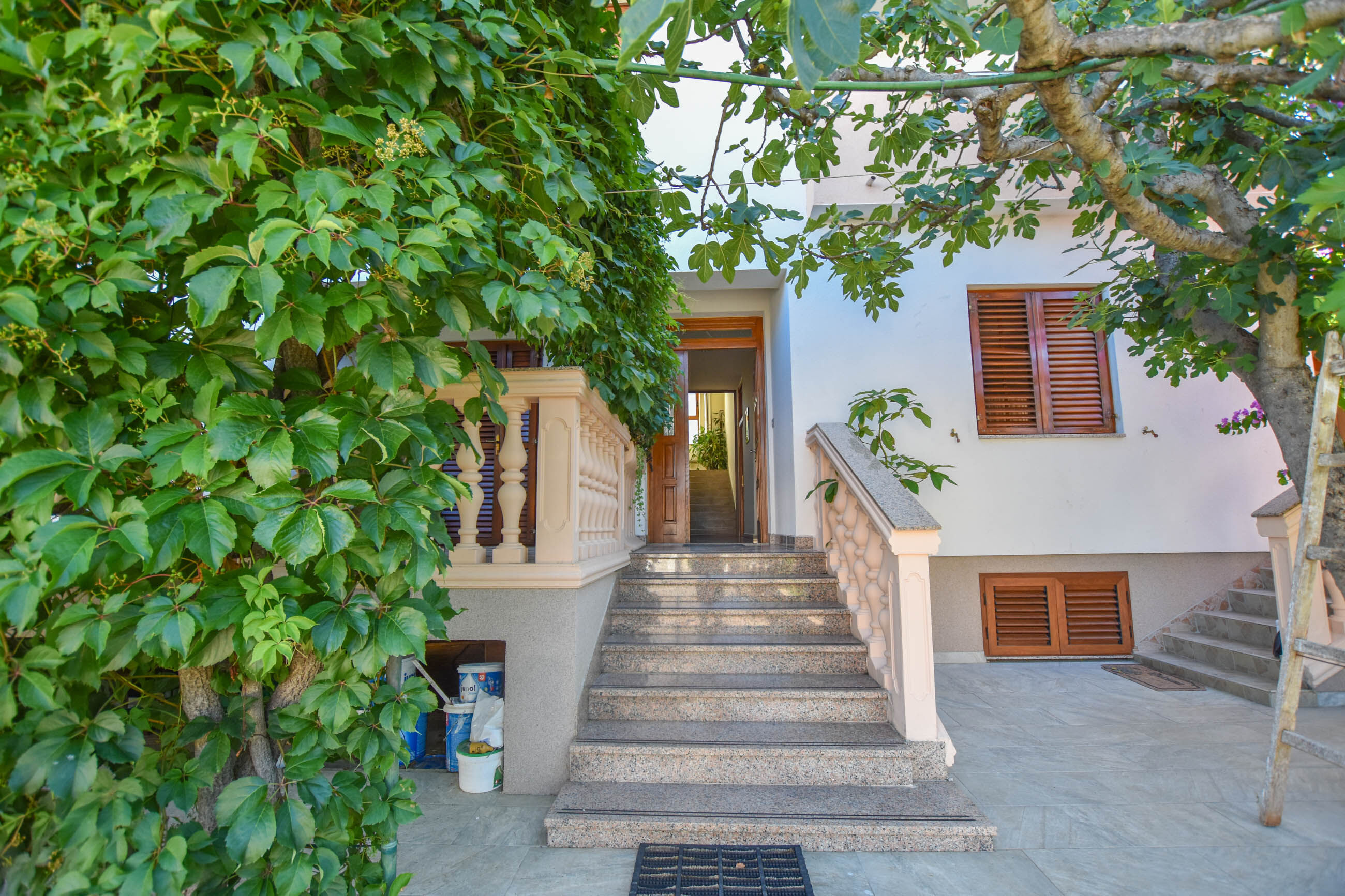 Apartments Immortelle 27501-A1