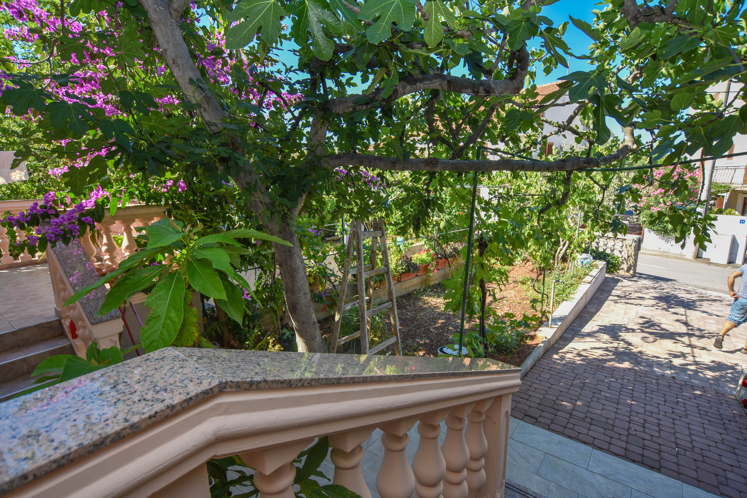 Apartments Immortelle 27501-A1