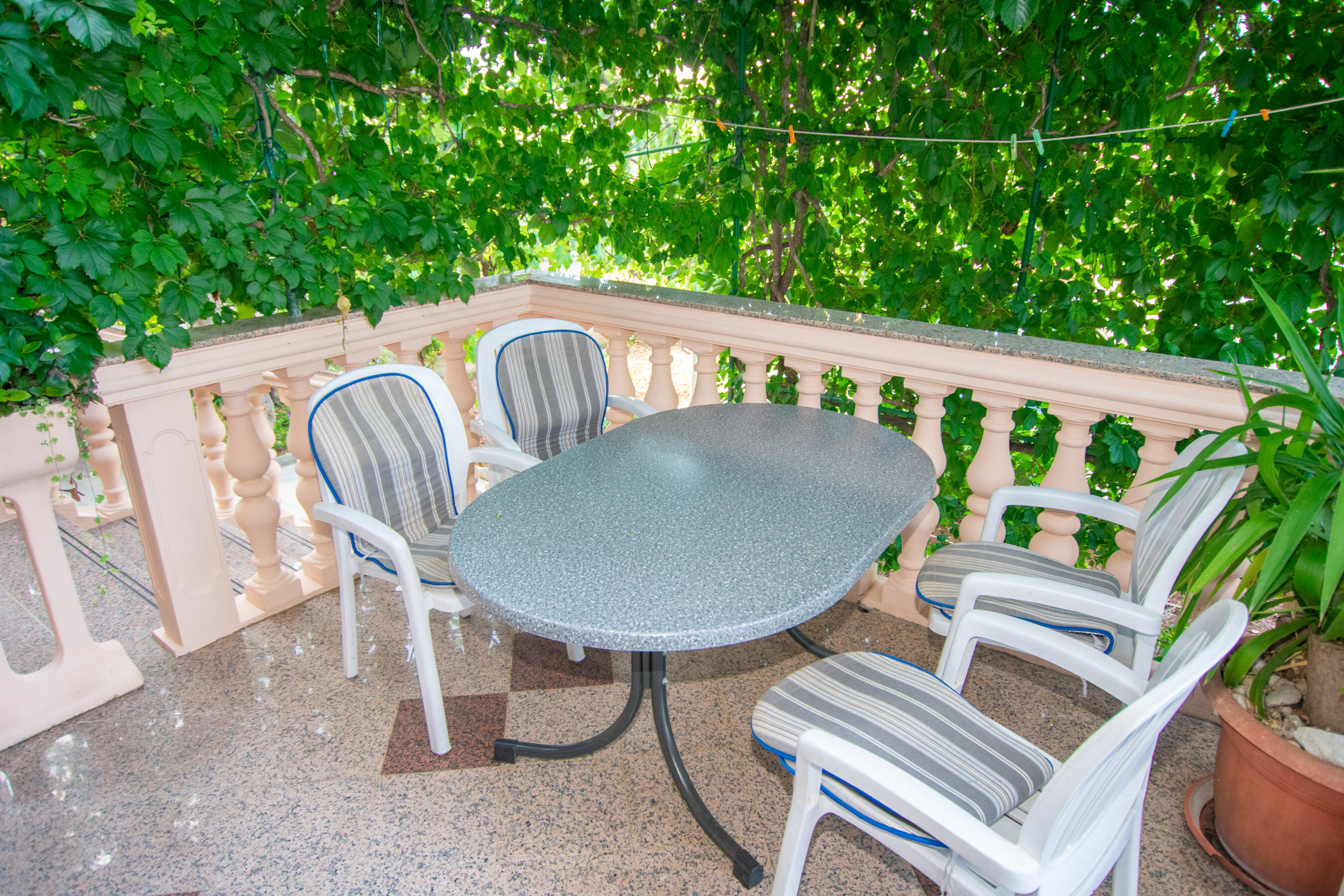 Apartments Immortelle 27501-A2