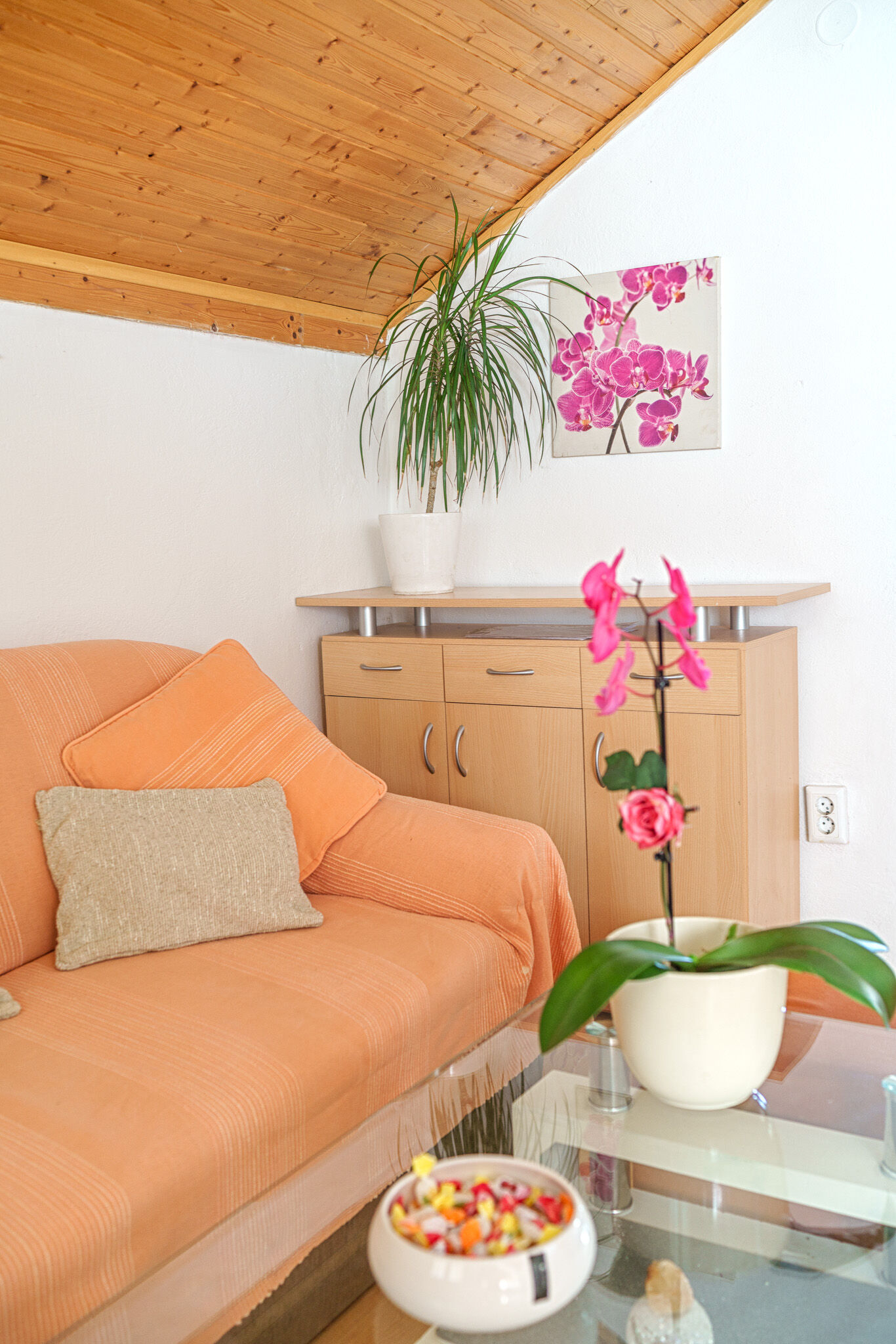Apartments Ivka 82101-A5