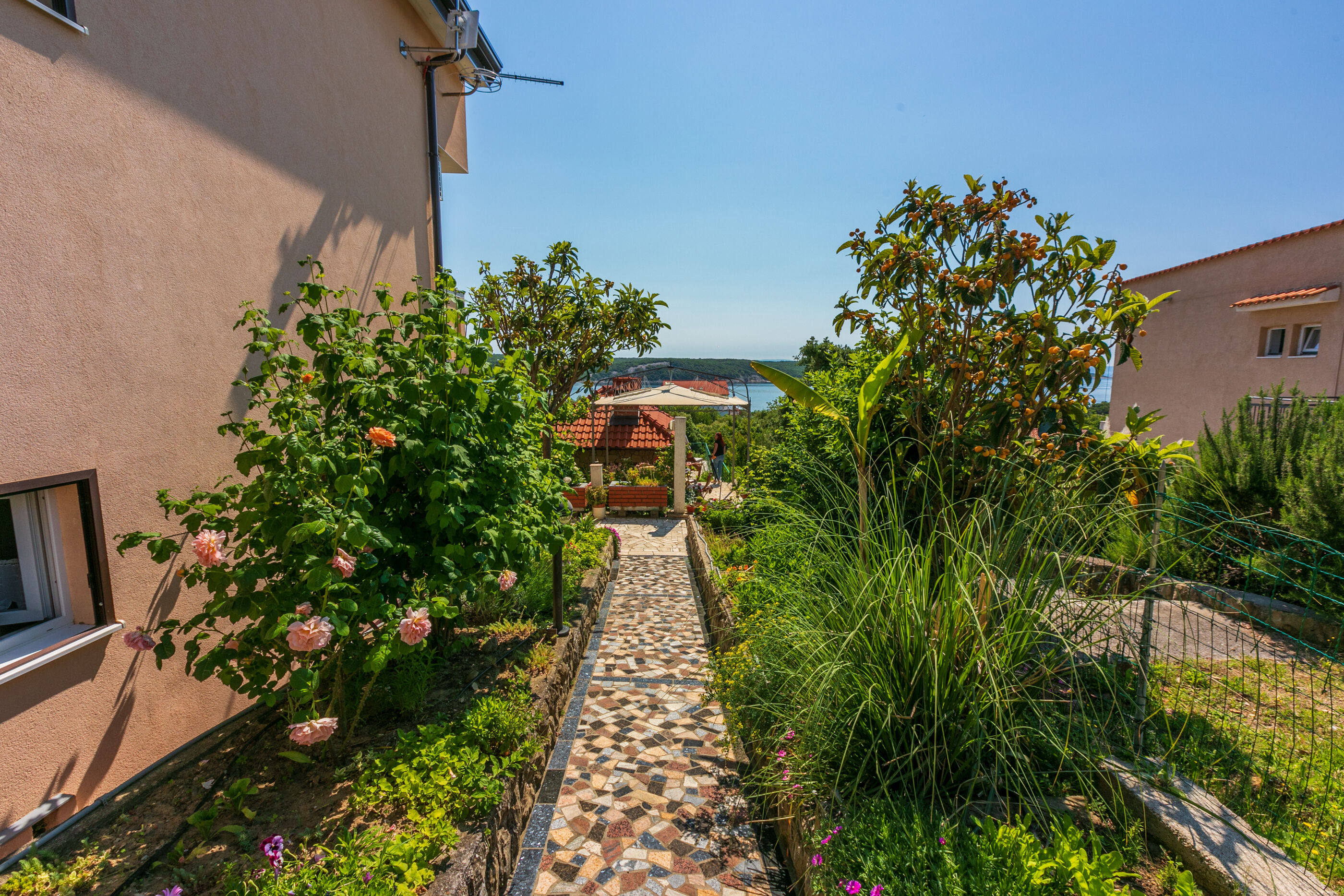 Photo of Apartments Ljiljana
