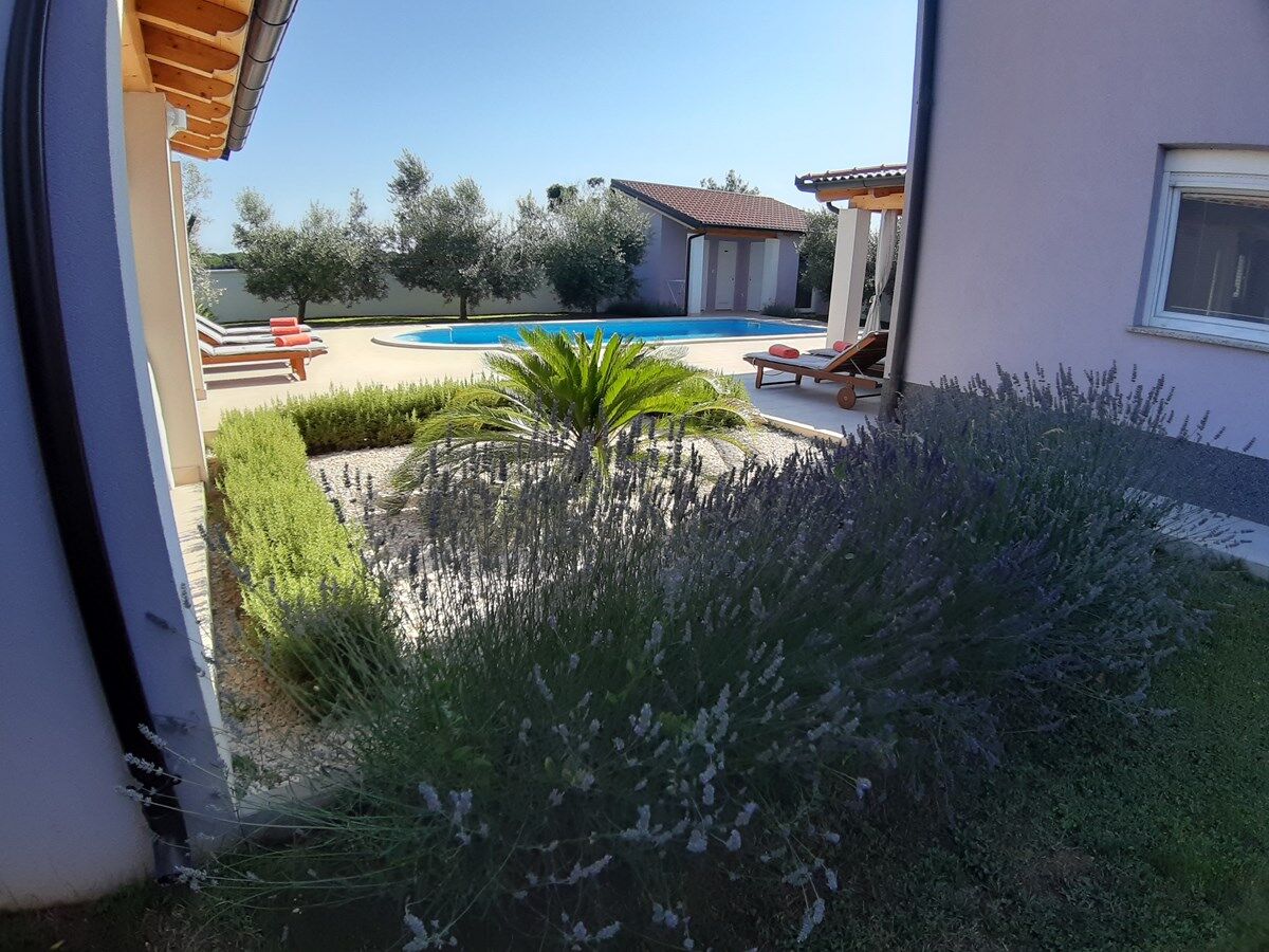 Villa Zeus 73952-K1